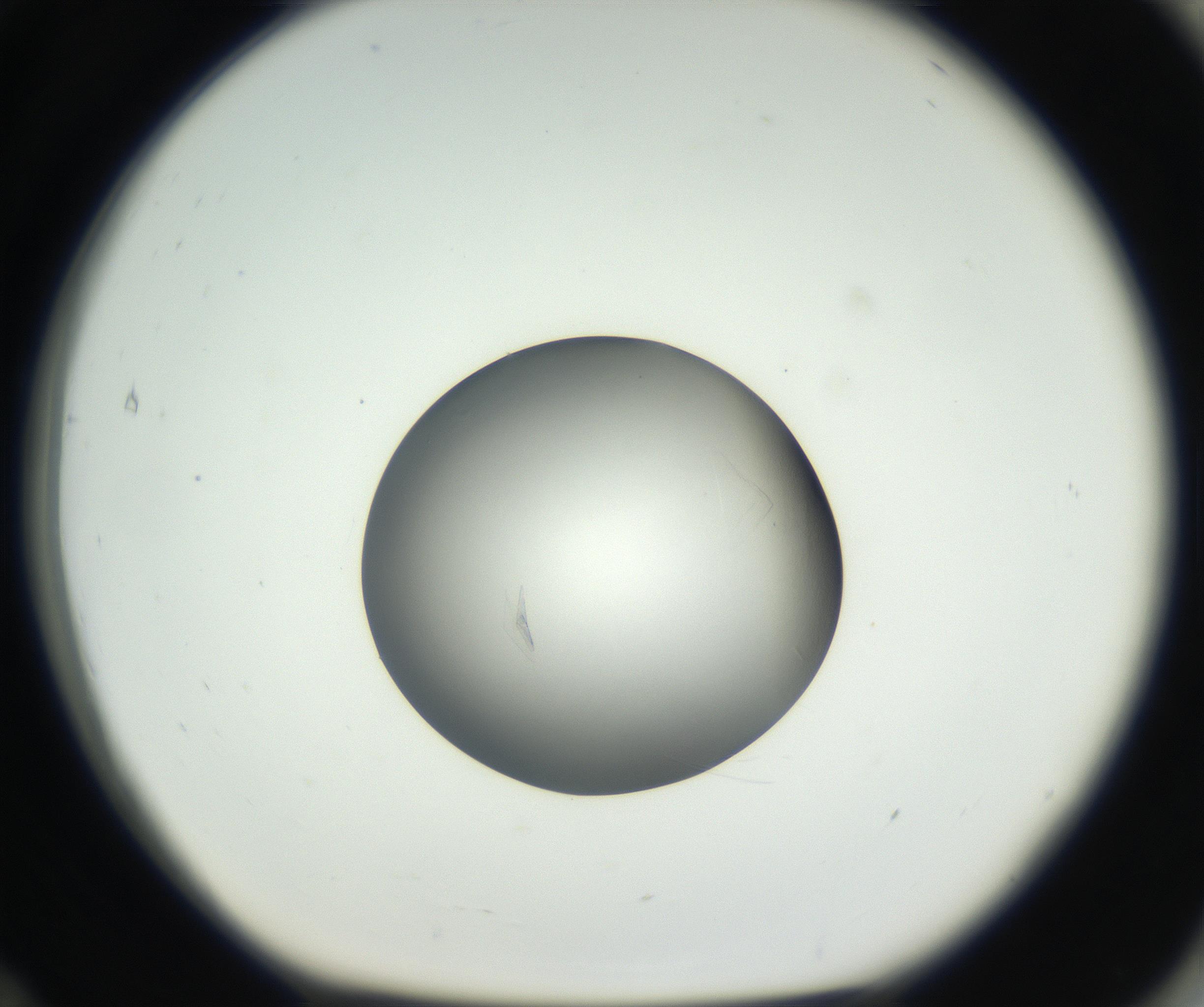 RI01_03_000_0212_Proj1_Clon1_MC_0000MC102639_002_160812_12_07_01_00_99_002_001_RAI.jpg