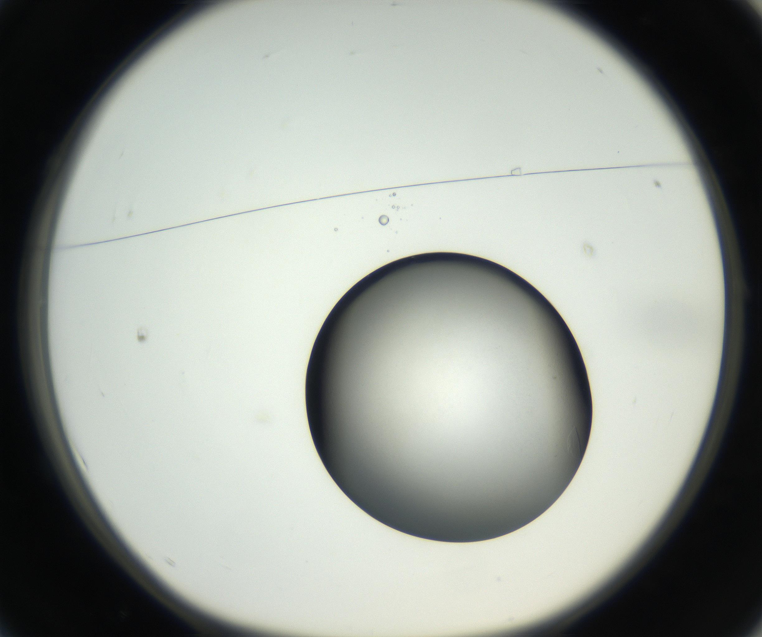 RI01_03_000_0212_Proj1_Clon1_MC_0000MC102639_003_160814_01_01_01_00_99_002_001_RAI.jpg