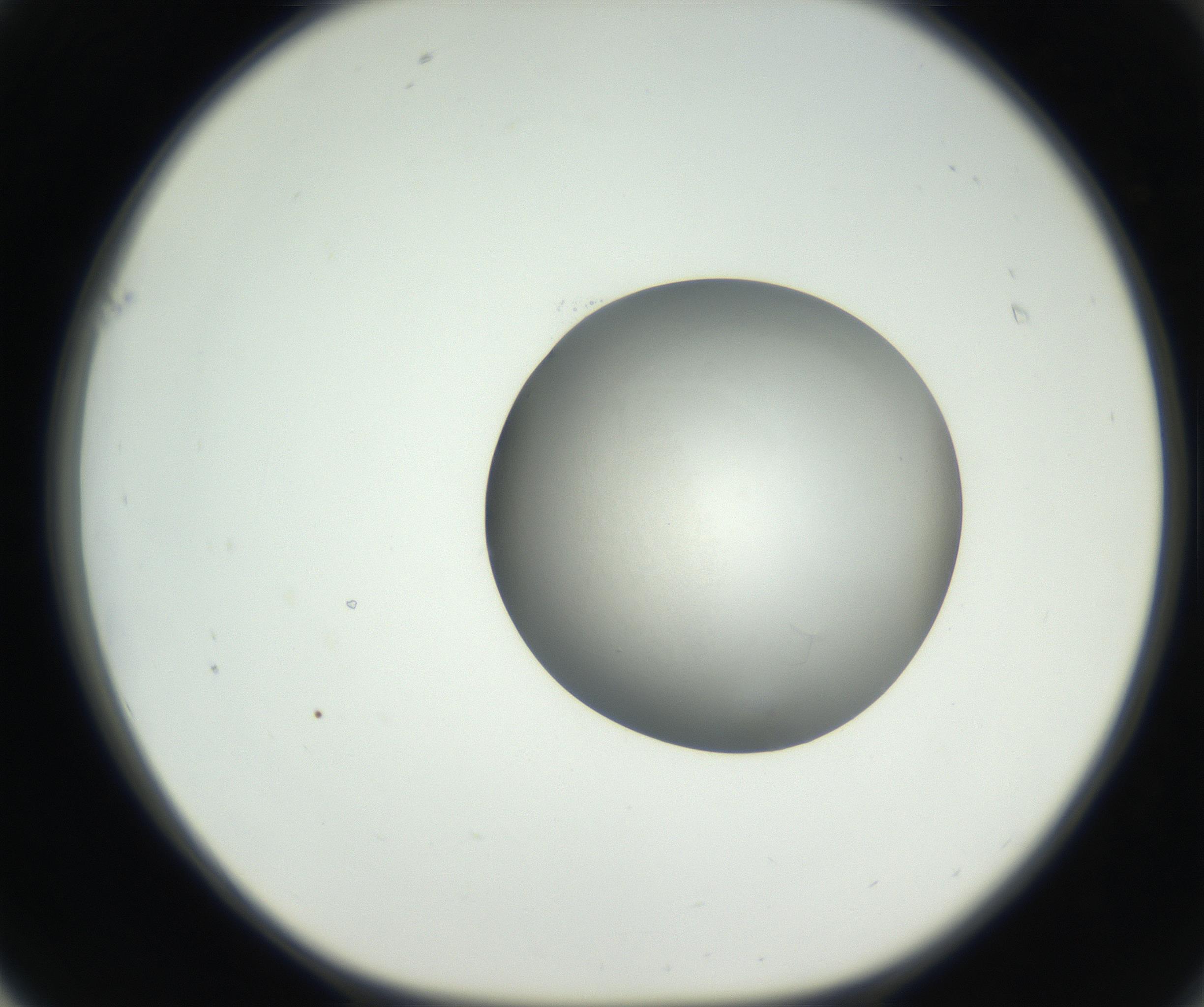 RI01_03_000_0212_Proj1_Clon1_MC_0000MC102639_003_160814_01_06_01_00_99_002_001_RAI.jpg