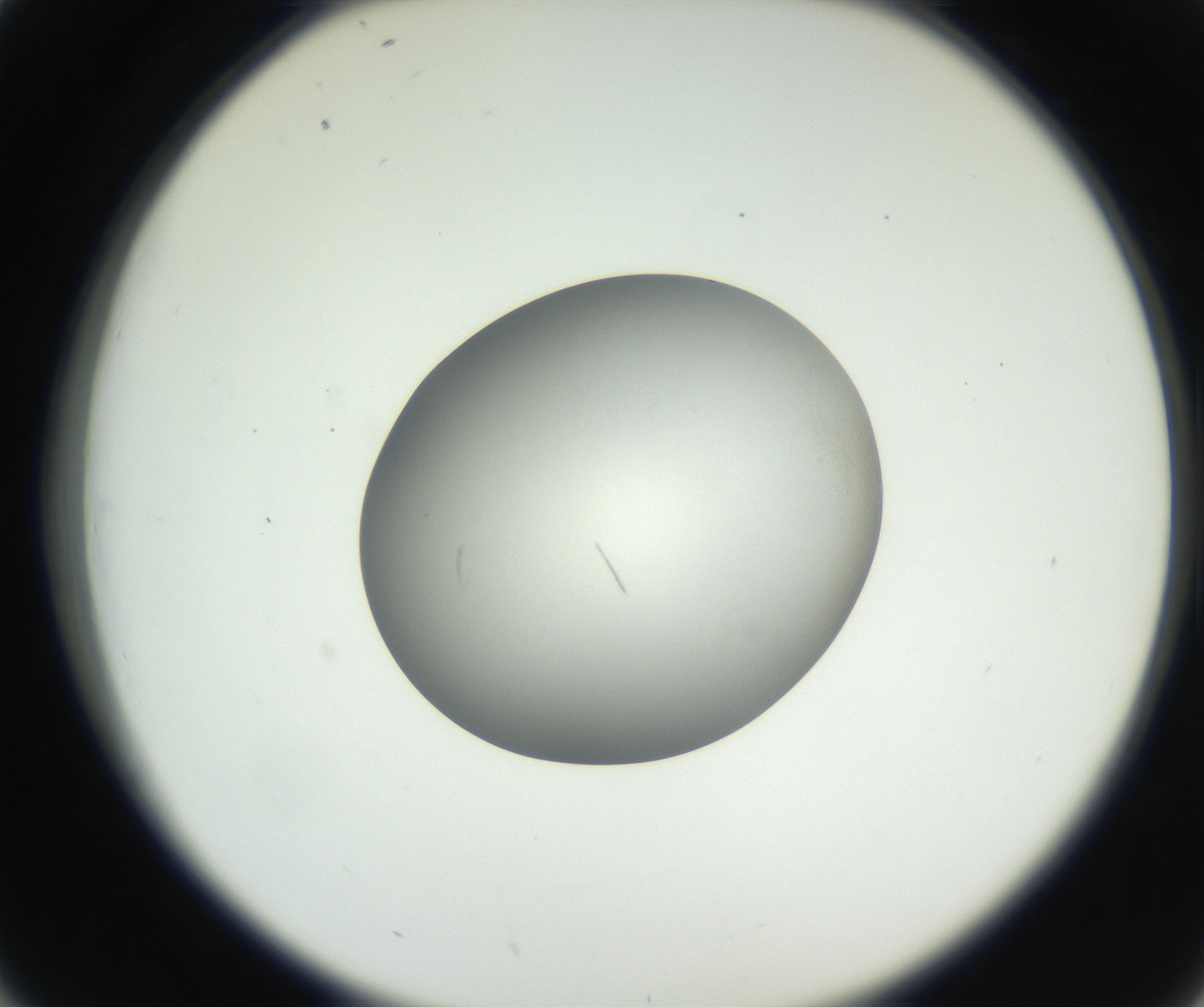 RI01_03_000_0212_Proj1_Clon1_MC_0000MC102639_003_160814_02_04_02_00_99_002_001_RAI.jpg