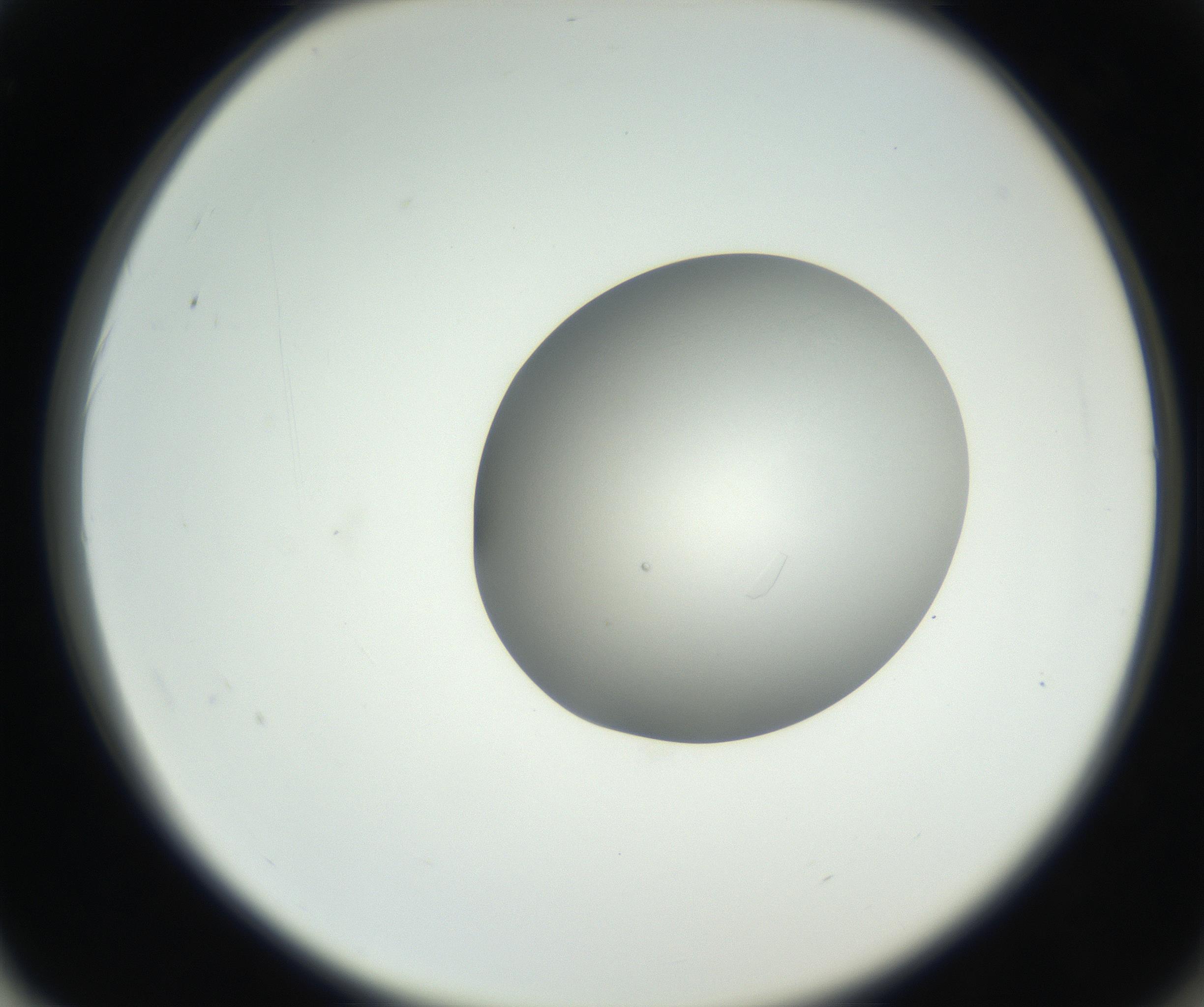RI01_03_000_0212_Proj1_Clon1_MC_0000MC102639_003_160814_02_06_02_00_99_002_001_RAI.jpg