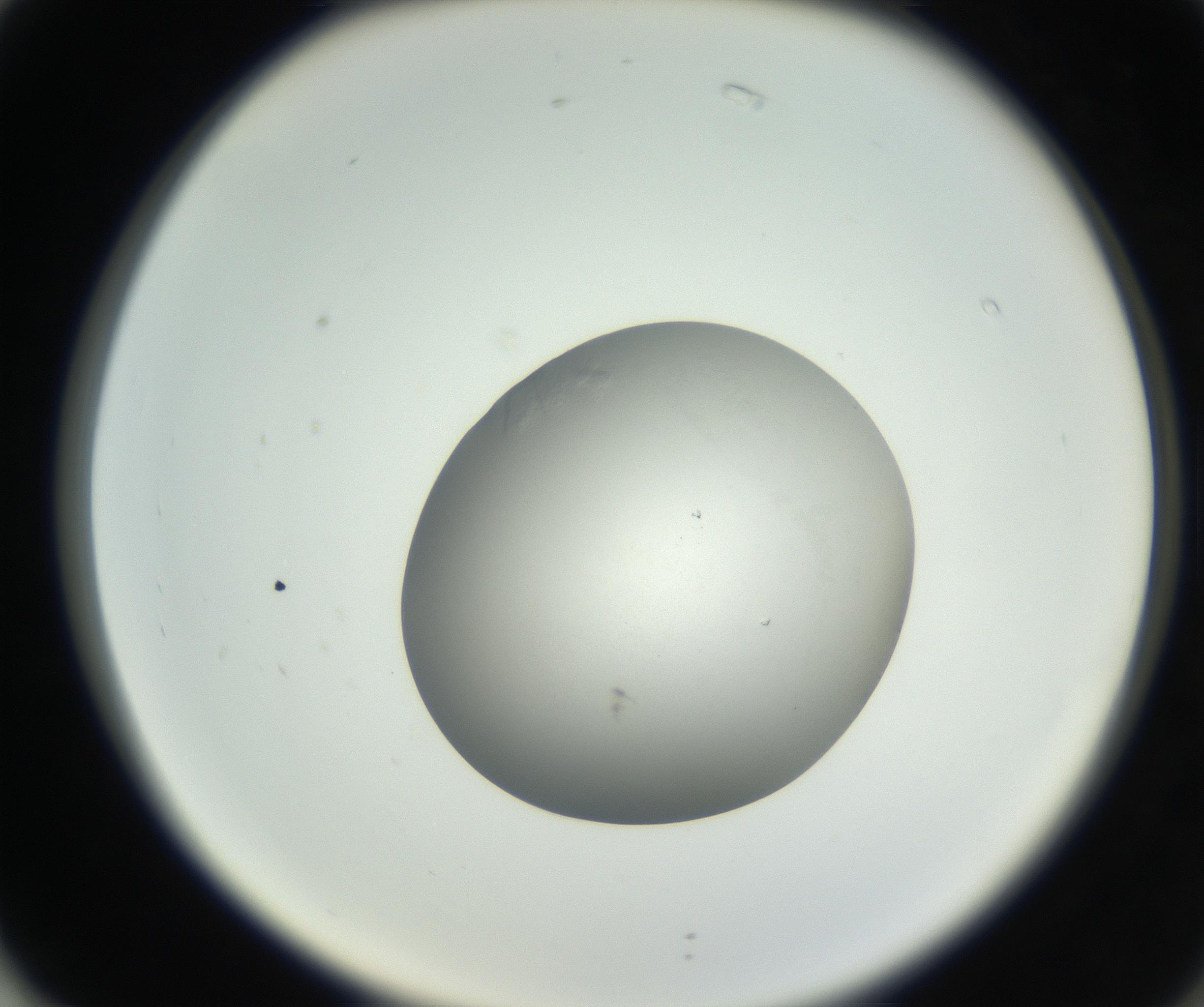 RI01_03_000_0212_Proj1_Clon1_MC_0000MC102639_003_160814_02_07_02_00_99_002_001_RAI.jpg