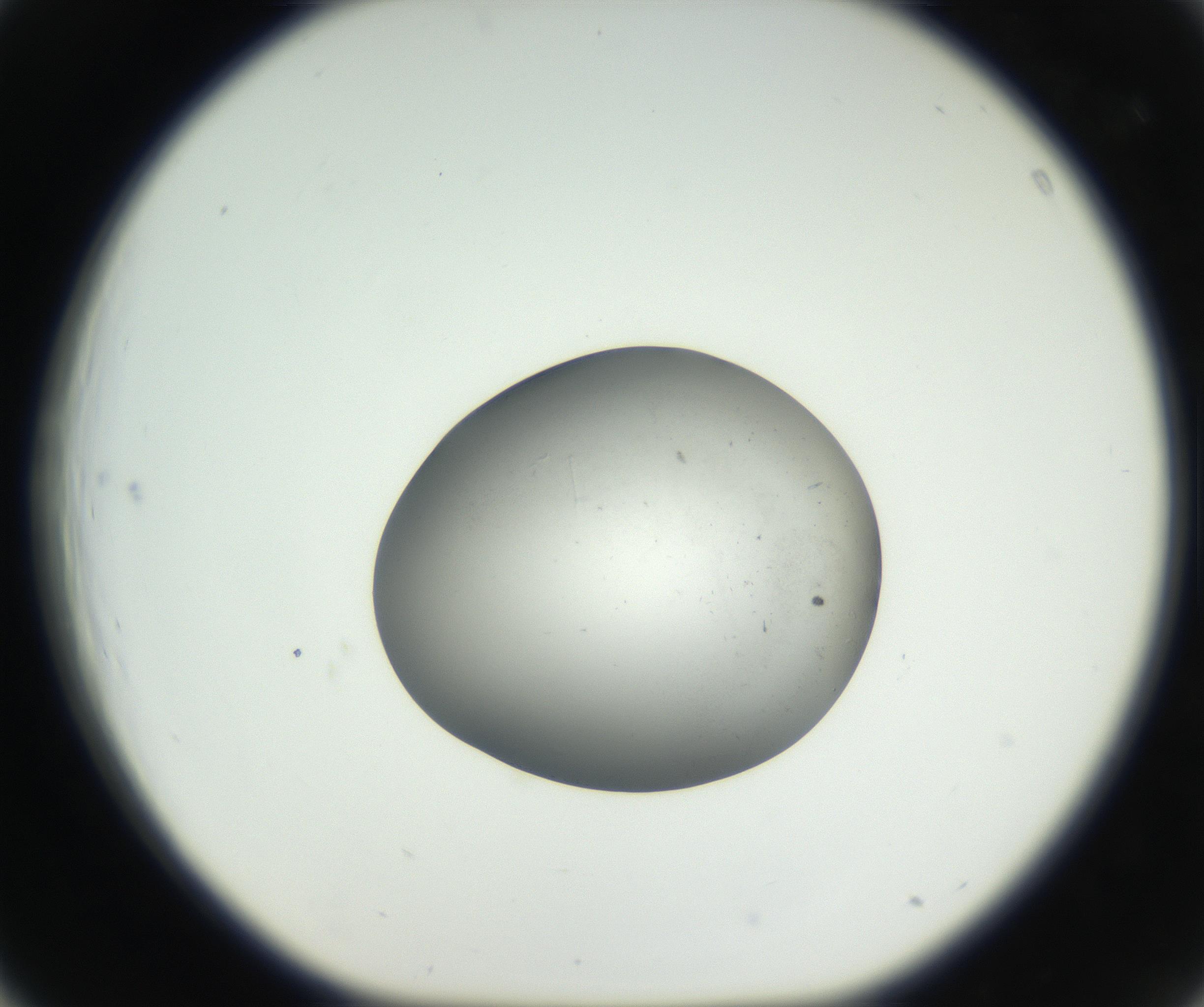 RI01_03_000_0212_Proj1_Clon1_MC_0000MC102639_003_160814_03_04_01_00_99_002_001_RAI.jpg