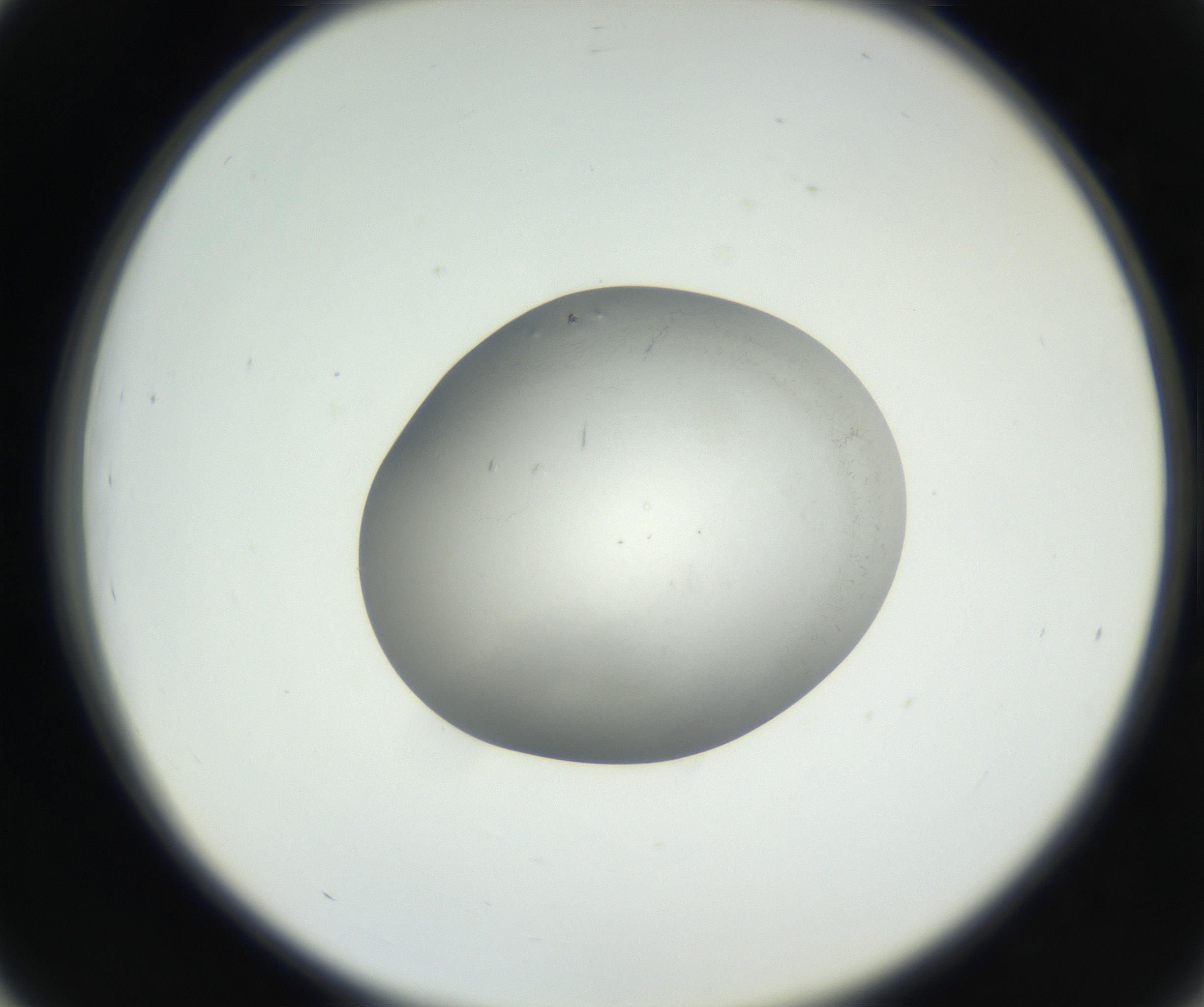 RI01_03_000_0212_Proj1_Clon1_MC_0000MC102639_003_160814_03_04_02_00_99_002_001_RAI.jpg
