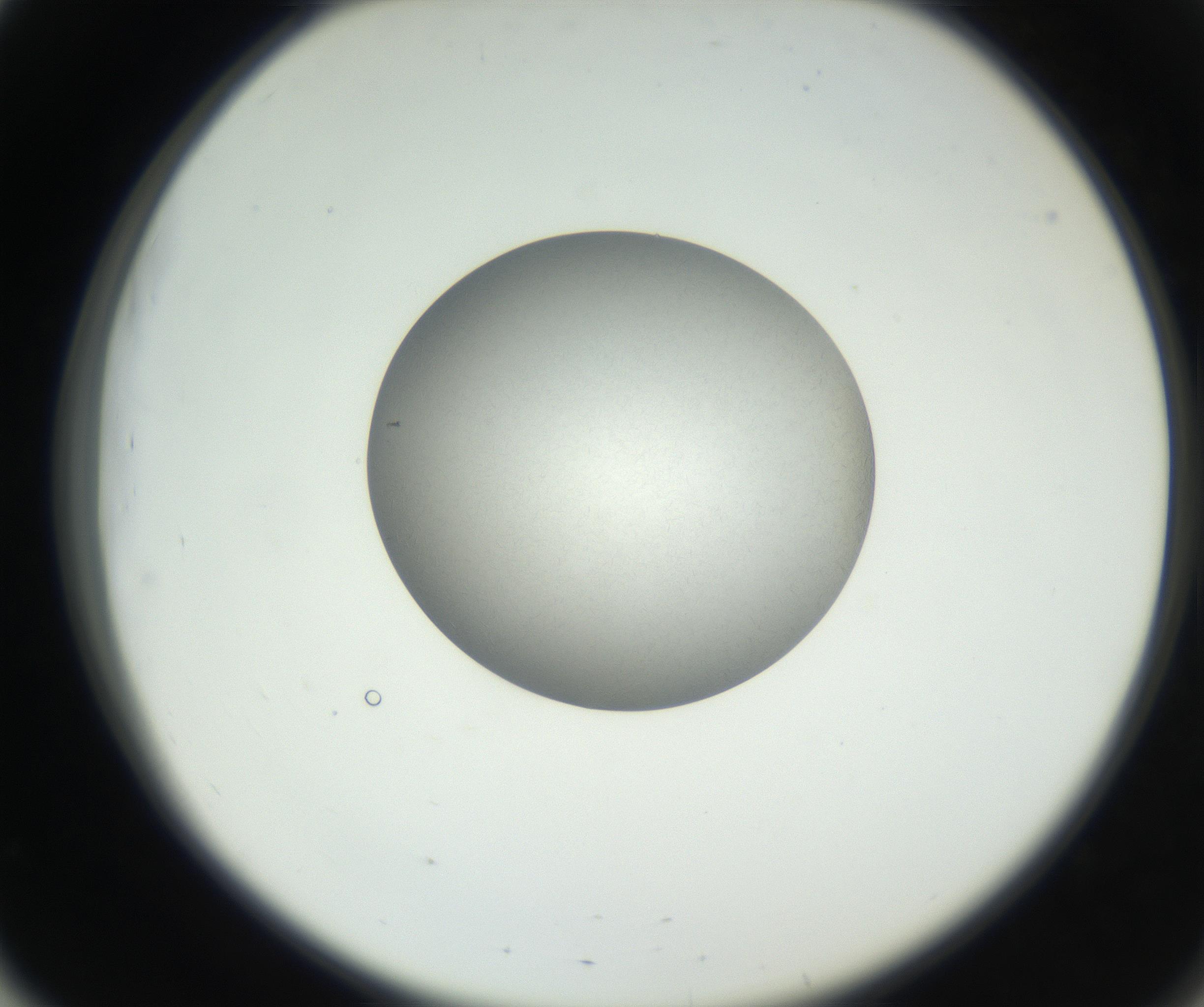 RI01_03_000_0212_Proj1_Clon1_MC_0000MC102639_003_160814_03_05_02_00_99_002_001_RAI.jpg