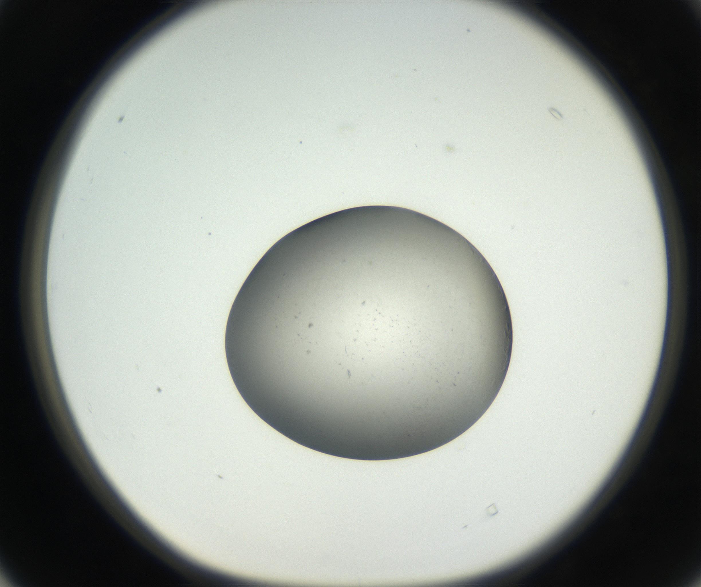 RI01_03_000_0212_Proj1_Clon1_MC_0000MC102639_003_160814_04_04_01_00_99_002_001_RAI.jpg