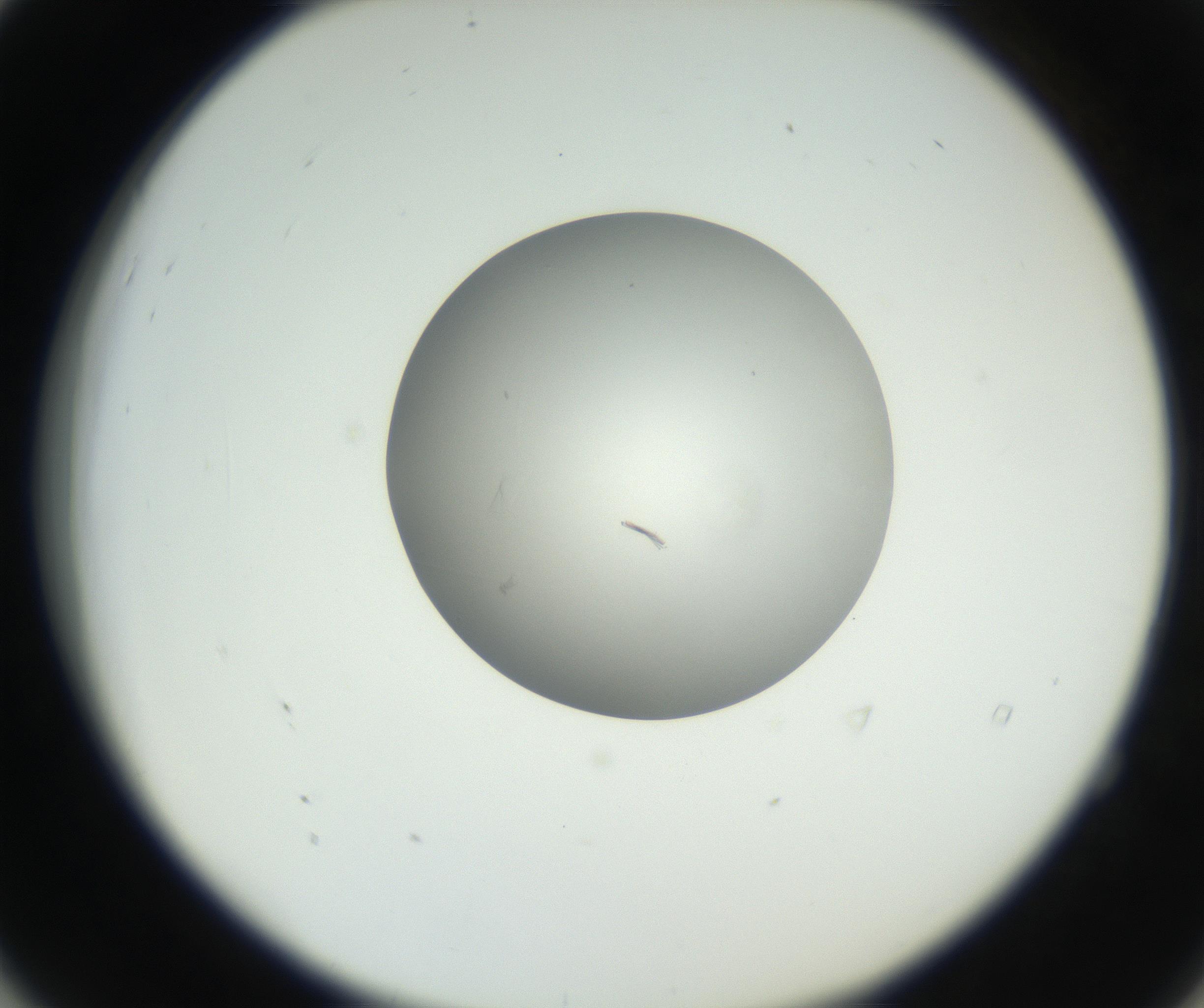 RI01_03_000_0212_Proj1_Clon1_MC_0000MC102639_003_160814_04_05_02_00_99_002_001_RAI.jpg