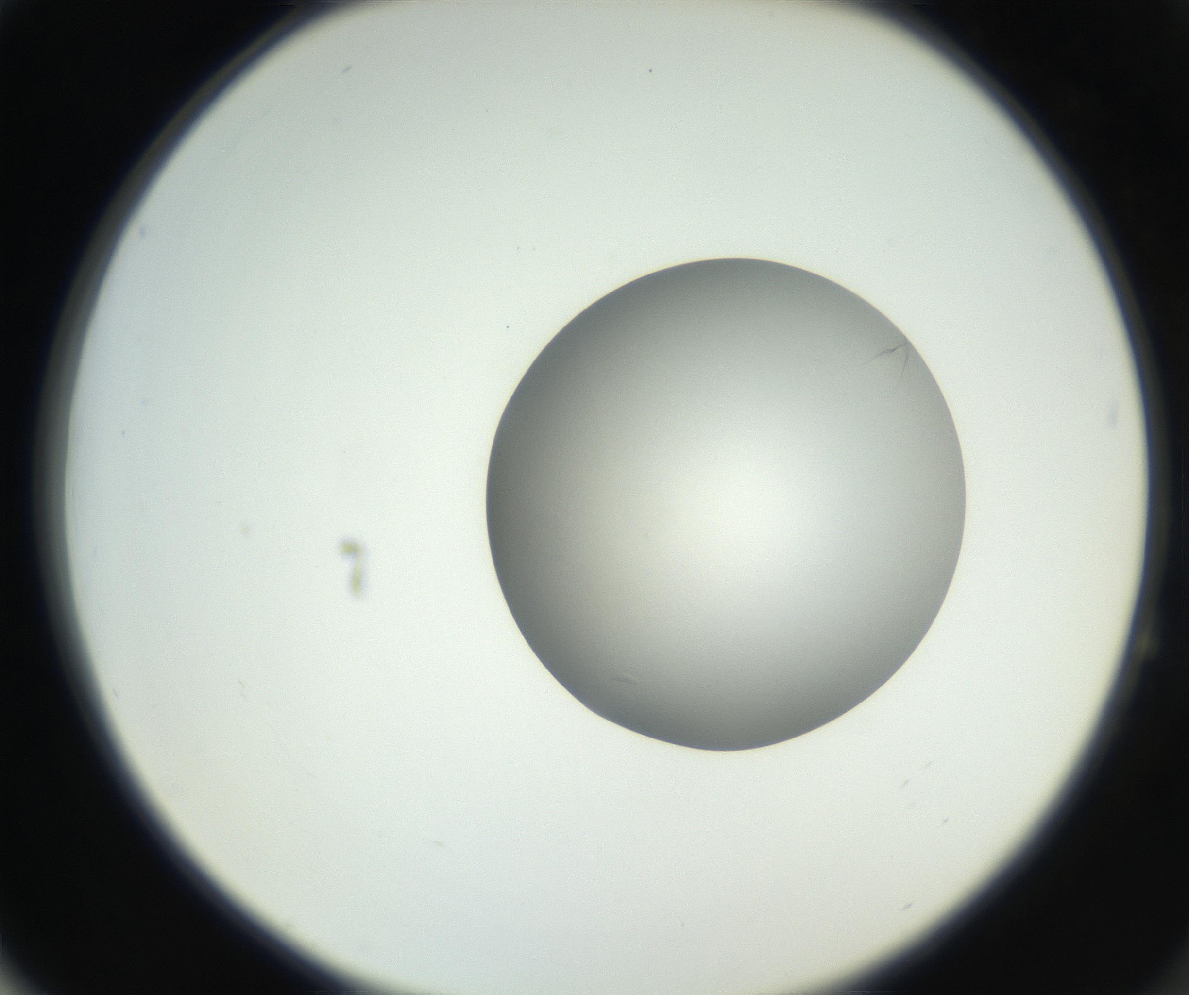 RI01_03_000_0212_Proj1_Clon1_MC_0000MC102639_003_160814_04_06_02_00_99_002_001_RAI.jpg