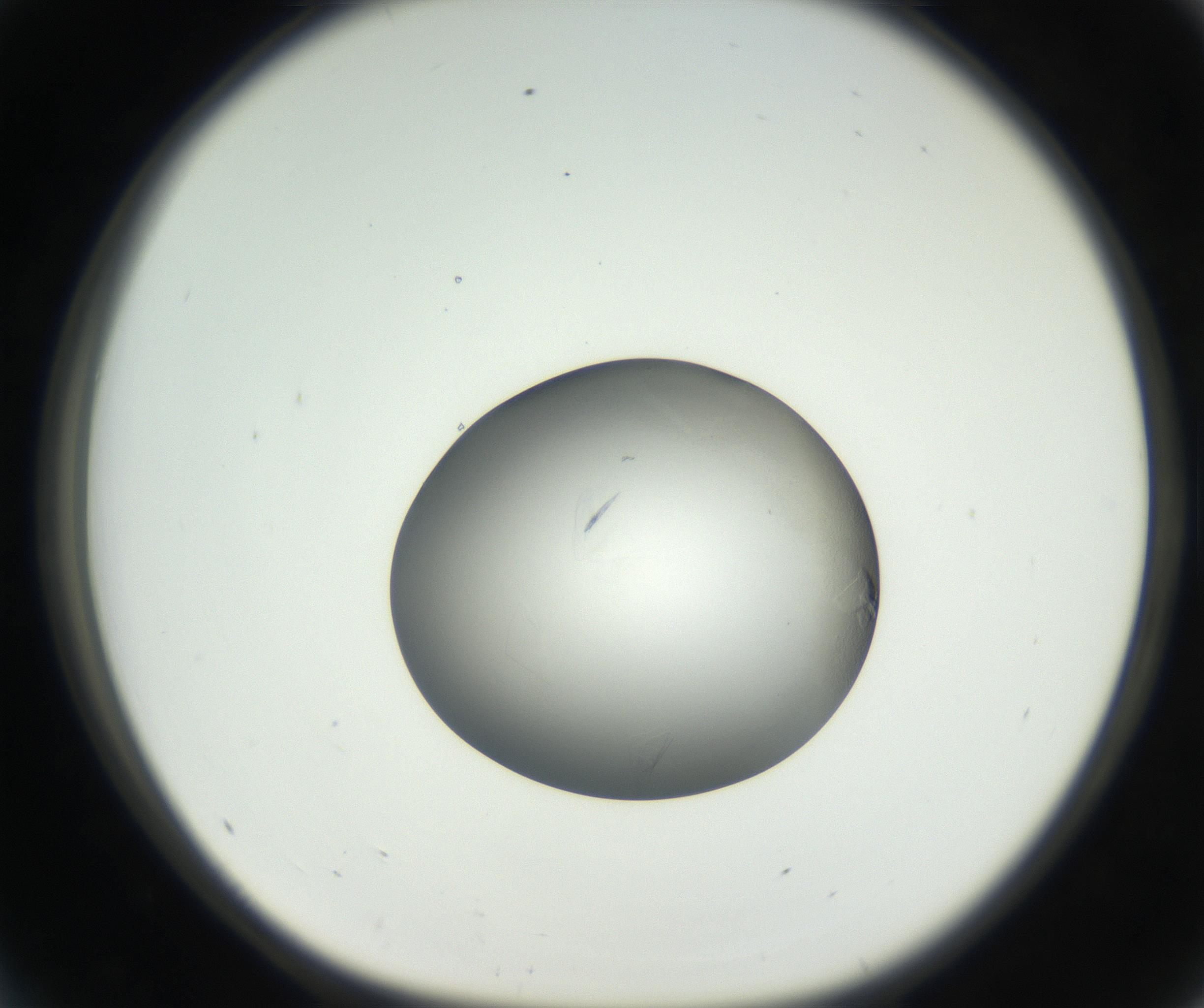 RI01_03_000_0212_Proj1_Clon1_MC_0000MC102639_003_160814_05_04_01_00_99_002_001_RAI.jpg