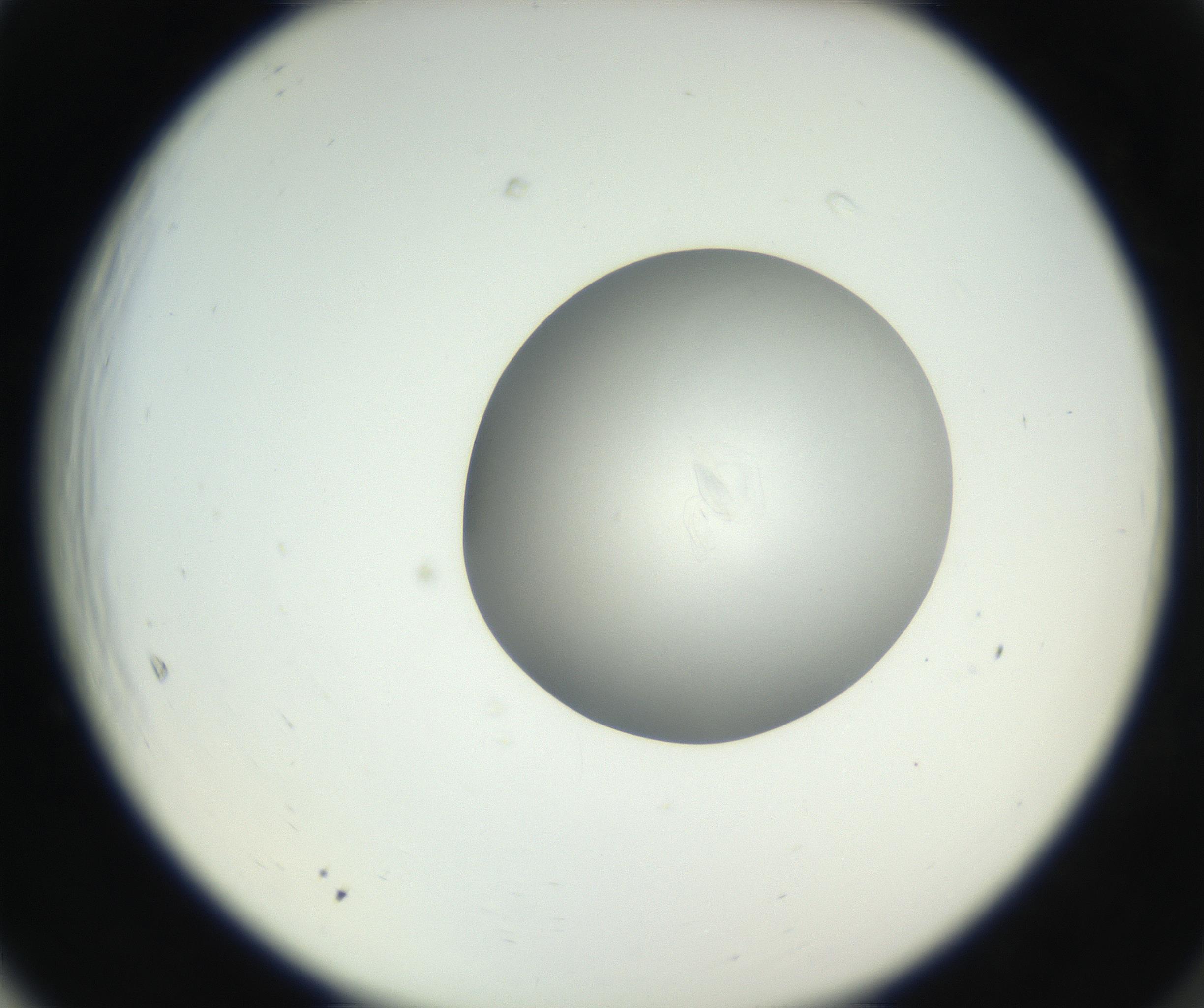 RI01_03_000_0212_Proj1_Clon1_MC_0000MC102639_003_160814_05_06_02_00_99_002_001_RAI.jpg
