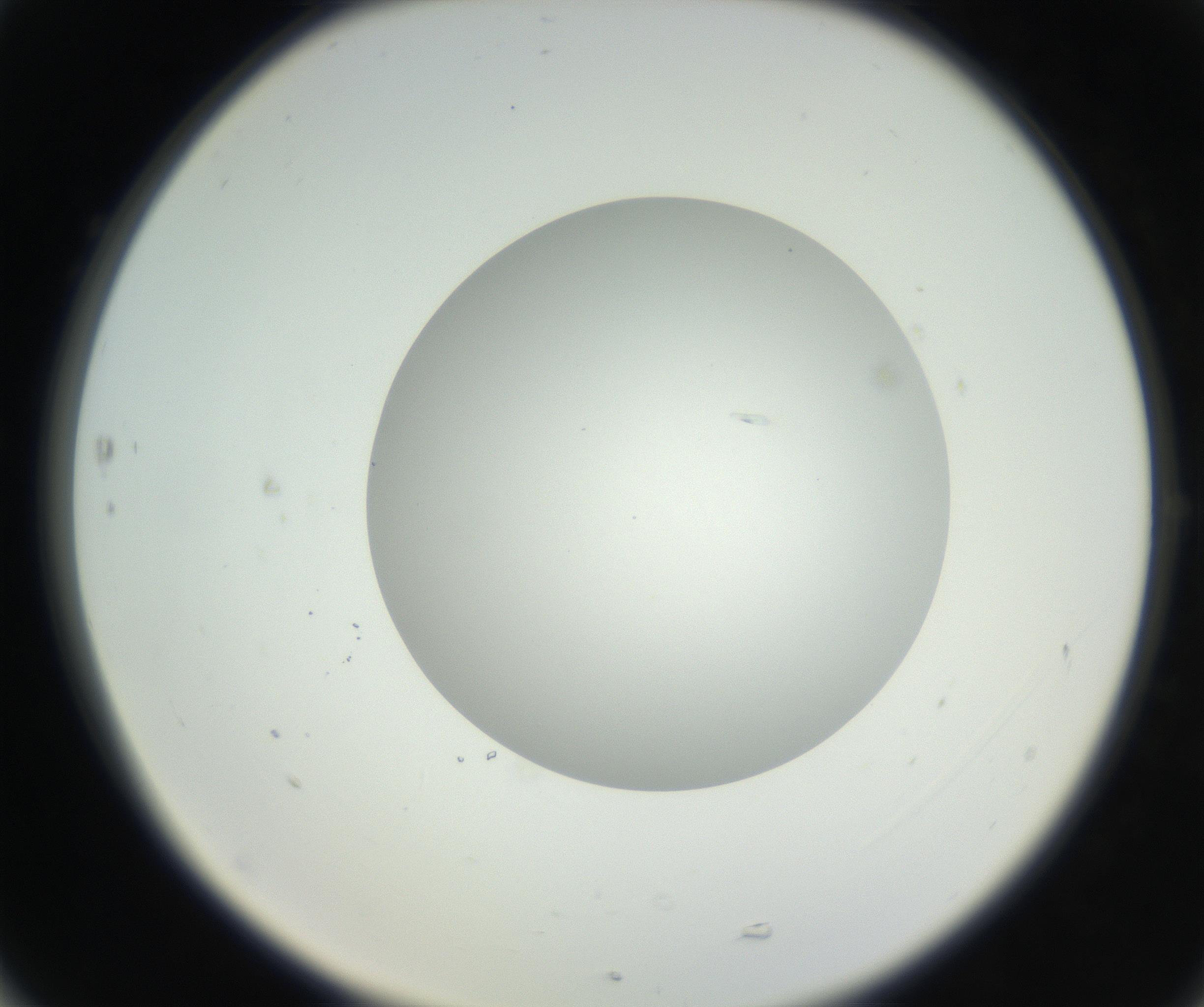 RI01_03_000_0212_Proj1_Clon1_MC_0000MC102639_003_160814_05_07_02_00_99_002_001_RAI.jpg