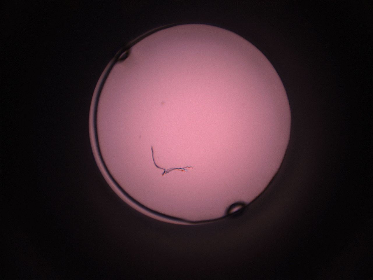 05i2_L10_ImagerDefaults_1.jpg