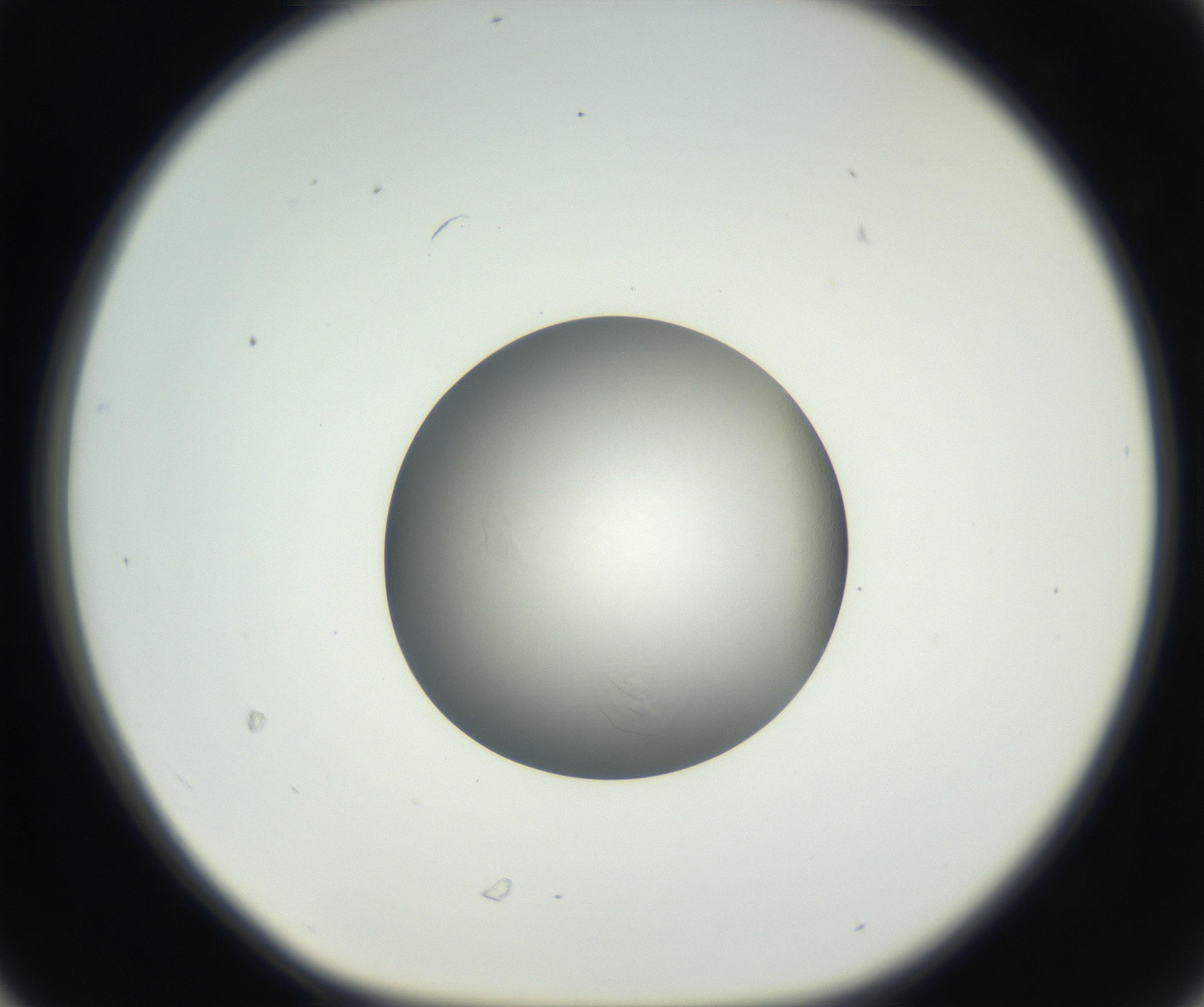RI01_03_000_0212_Proj1_Clon1_MC_0000MC102639_003_160814_06_03_01_00_99_002_001_RAI.jpg