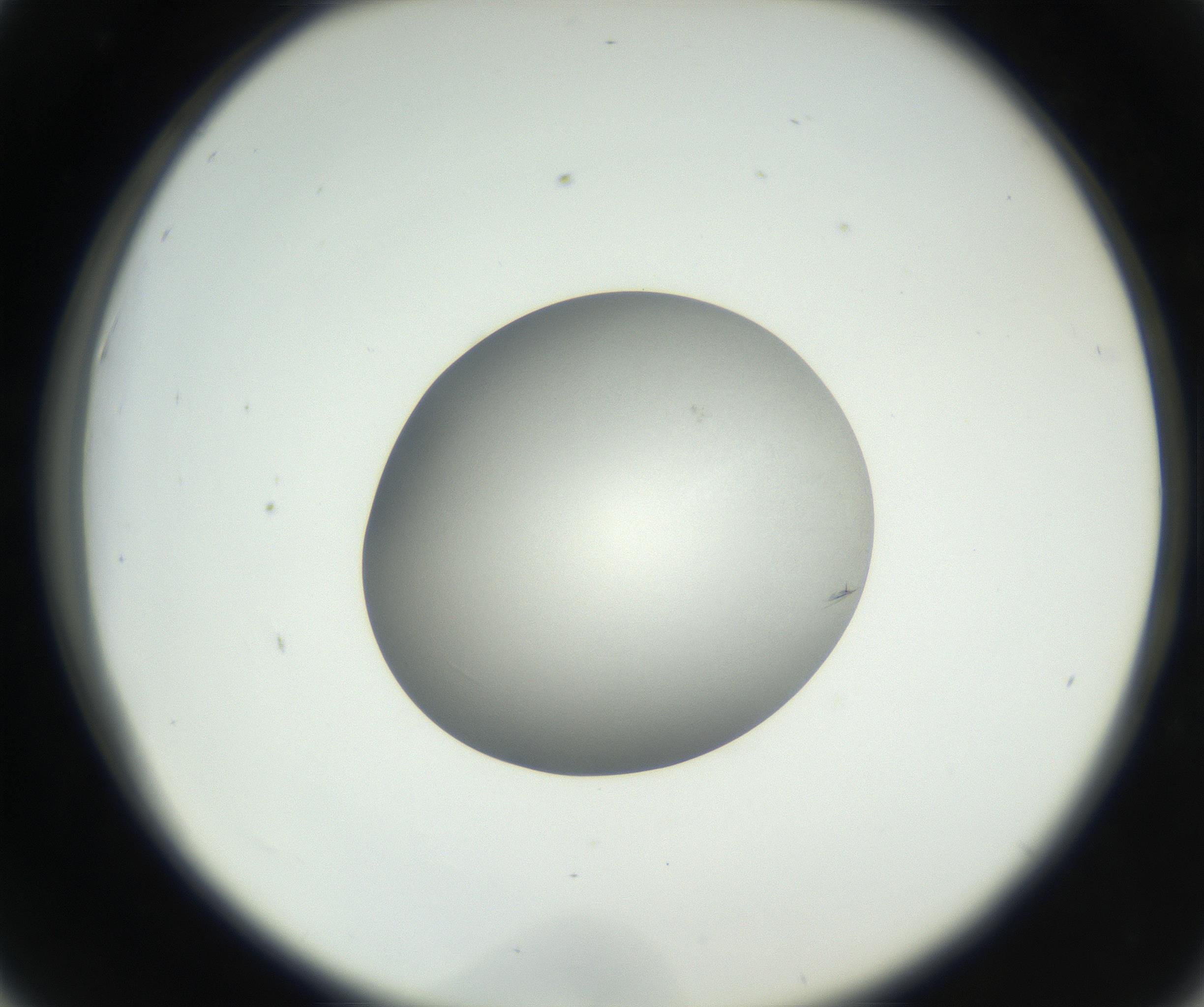 RI01_03_000_0212_Proj1_Clon1_MC_0000MC102639_003_160814_06_04_02_00_99_002_001_RAI.jpg