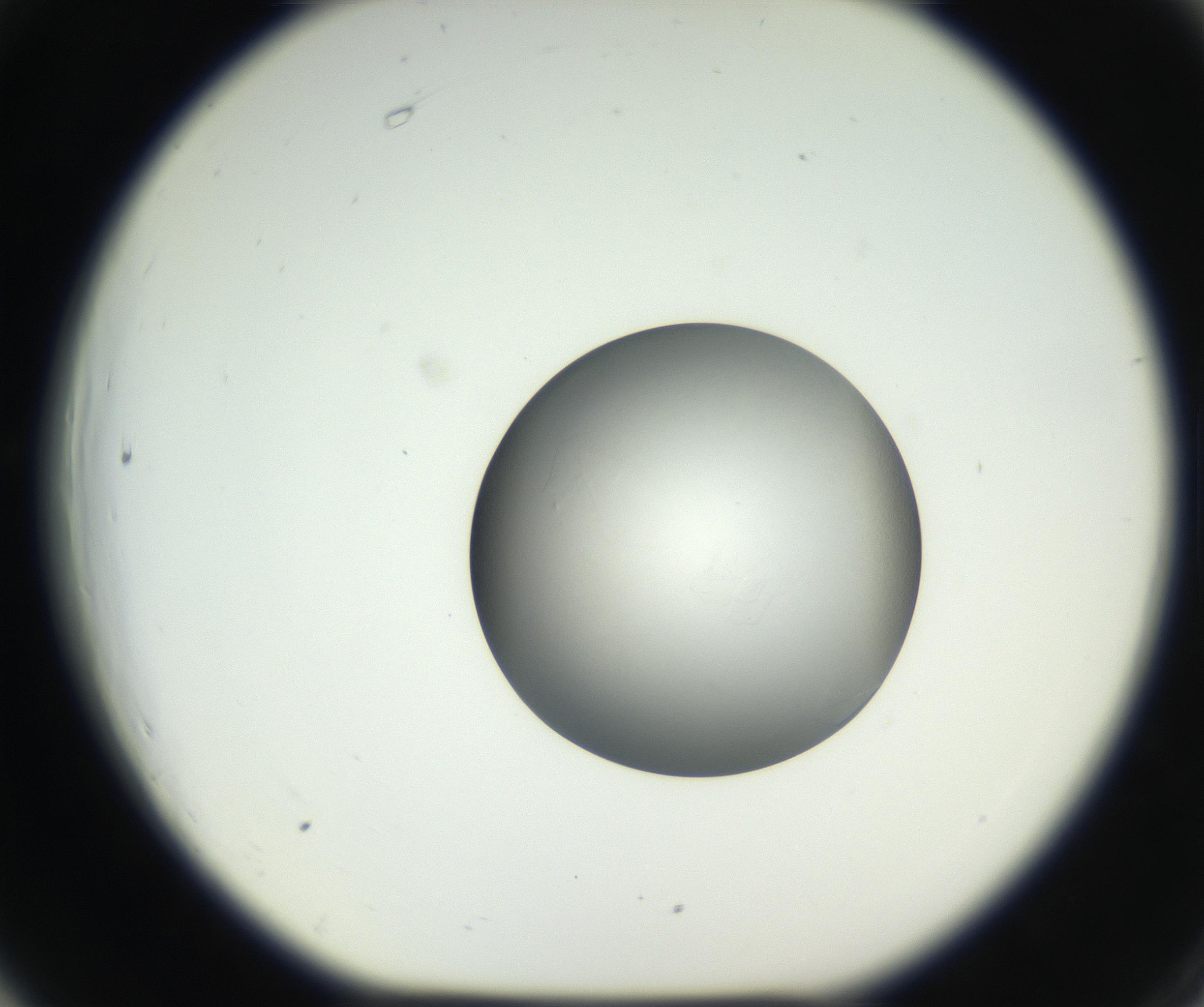 RI01_03_000_0212_Proj1_Clon1_MC_0000MC102639_003_160814_06_06_01_00_99_002_001_RAI.jpg