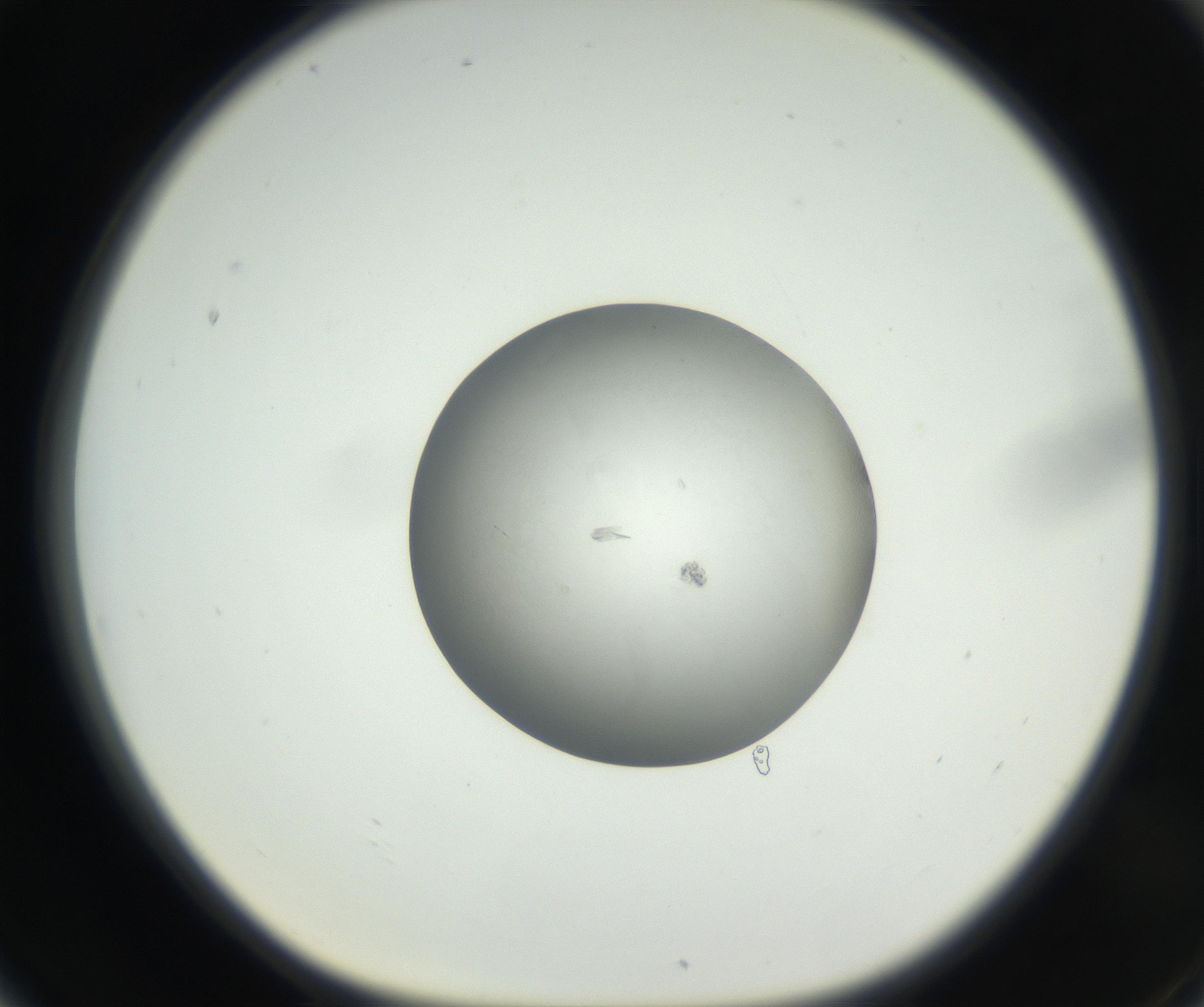 RI01_03_000_0212_Proj1_Clon1_MC_0000MC102639_003_160814_06_07_01_00_99_002_001_RAI.jpg