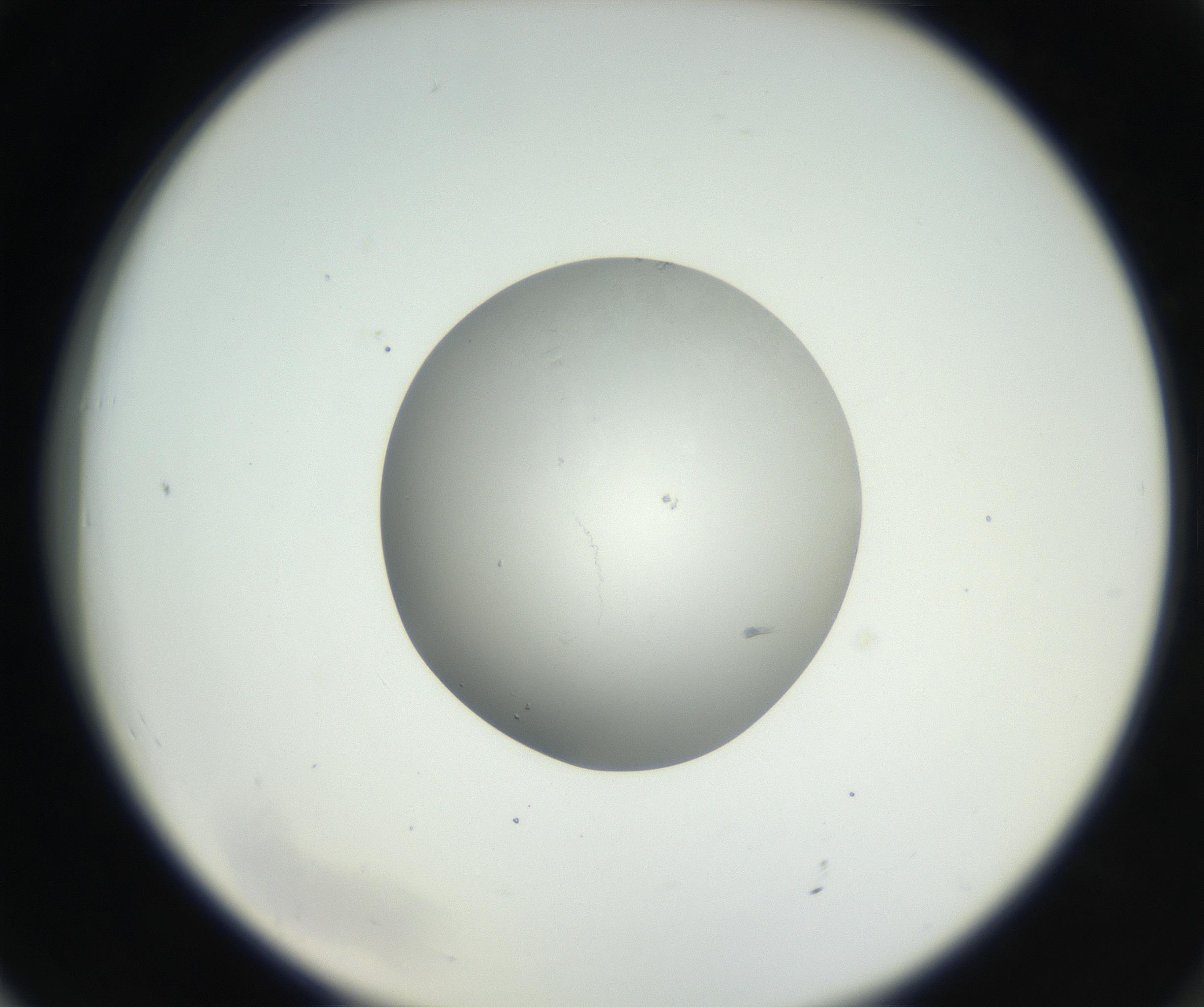 RI01_03_000_0212_Proj1_Clon1_MC_0000MC102639_003_160814_06_07_02_00_99_002_001_RAI.jpg