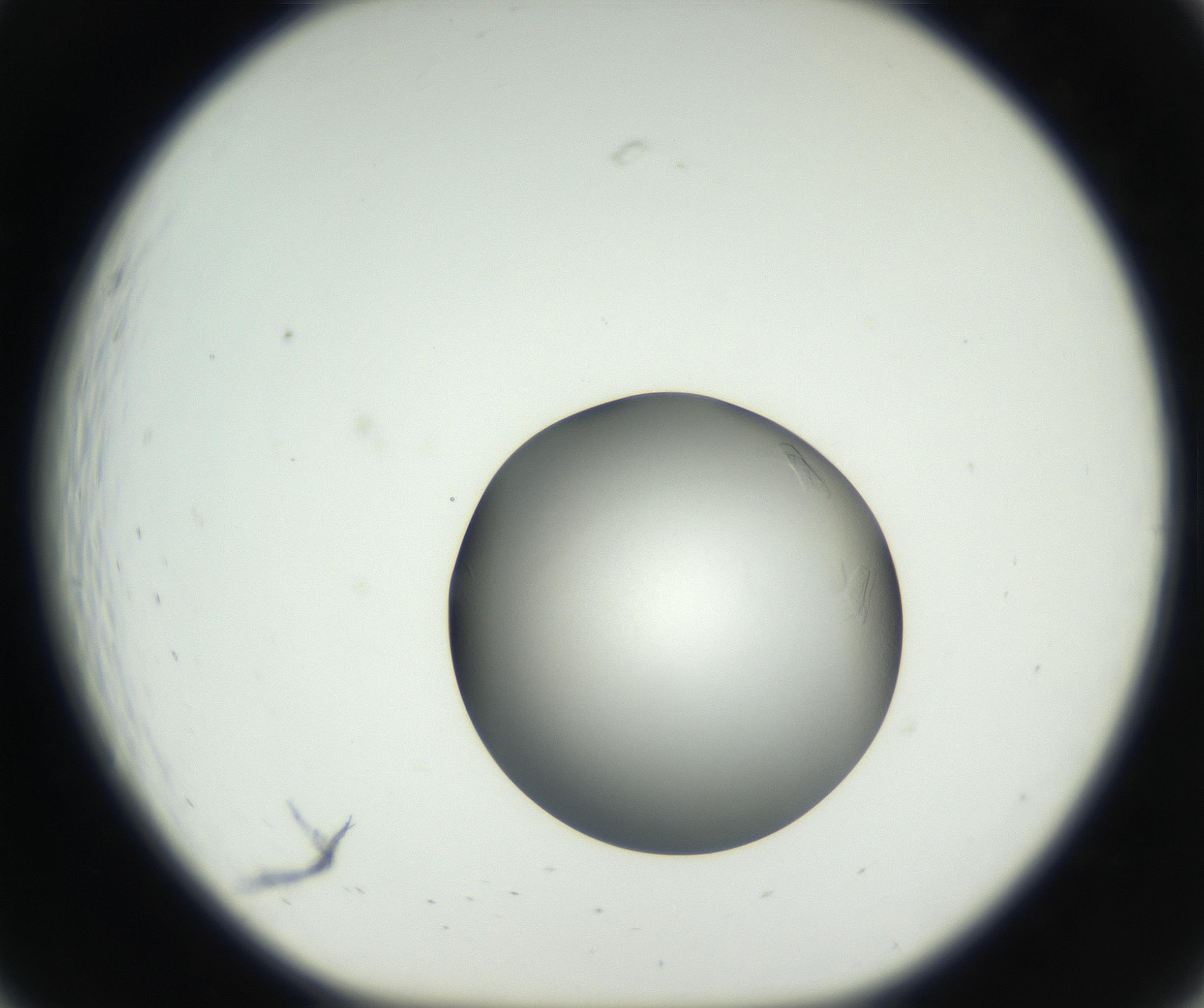 RI01_03_000_0212_Proj1_Clon1_MC_0000MC102639_003_160814_07_02_01_00_99_002_001_RAI.jpg
