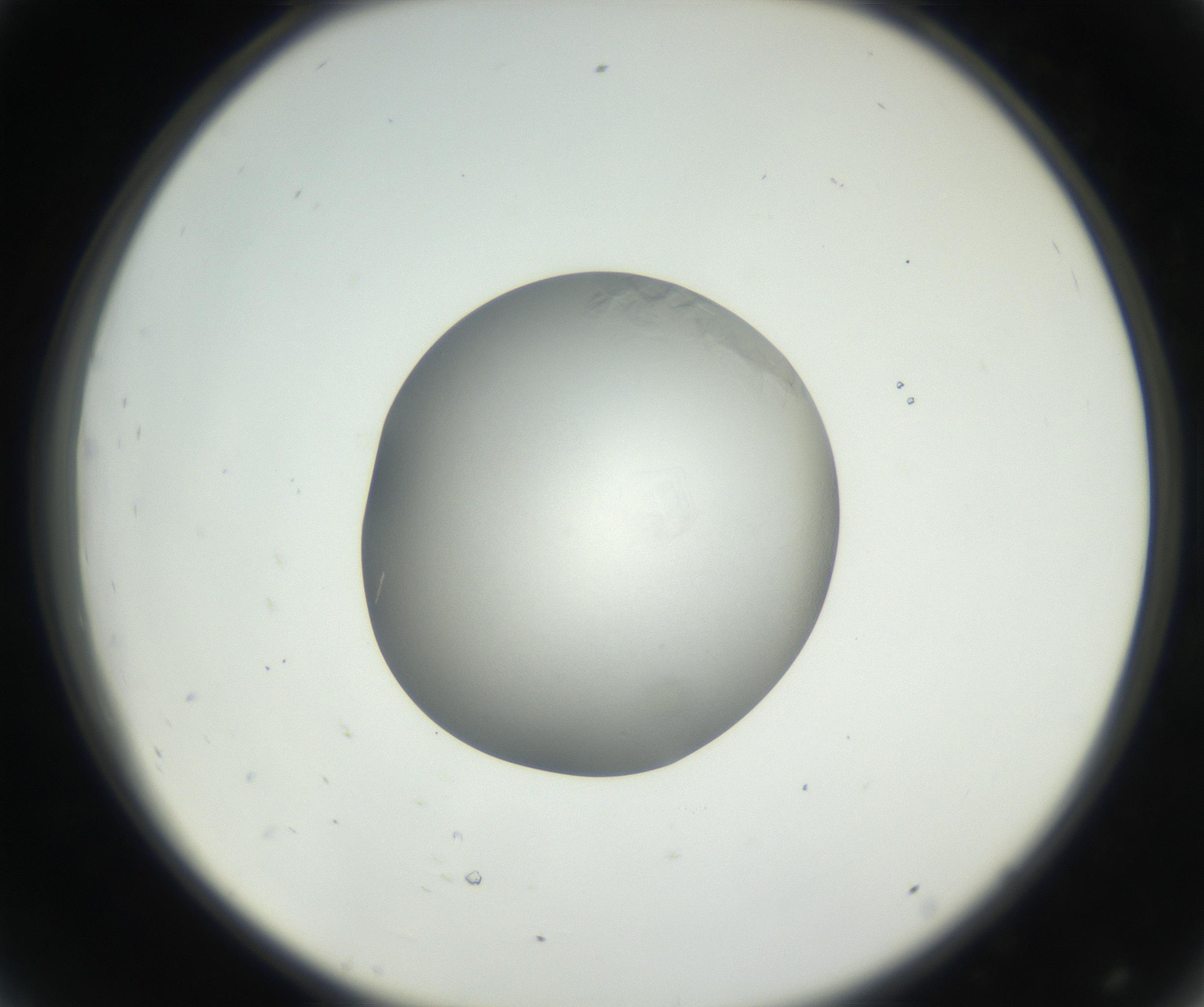 RI01_03_000_0212_Proj1_Clon1_MC_0000MC102639_003_160814_08_04_02_00_99_002_001_RAI.jpg