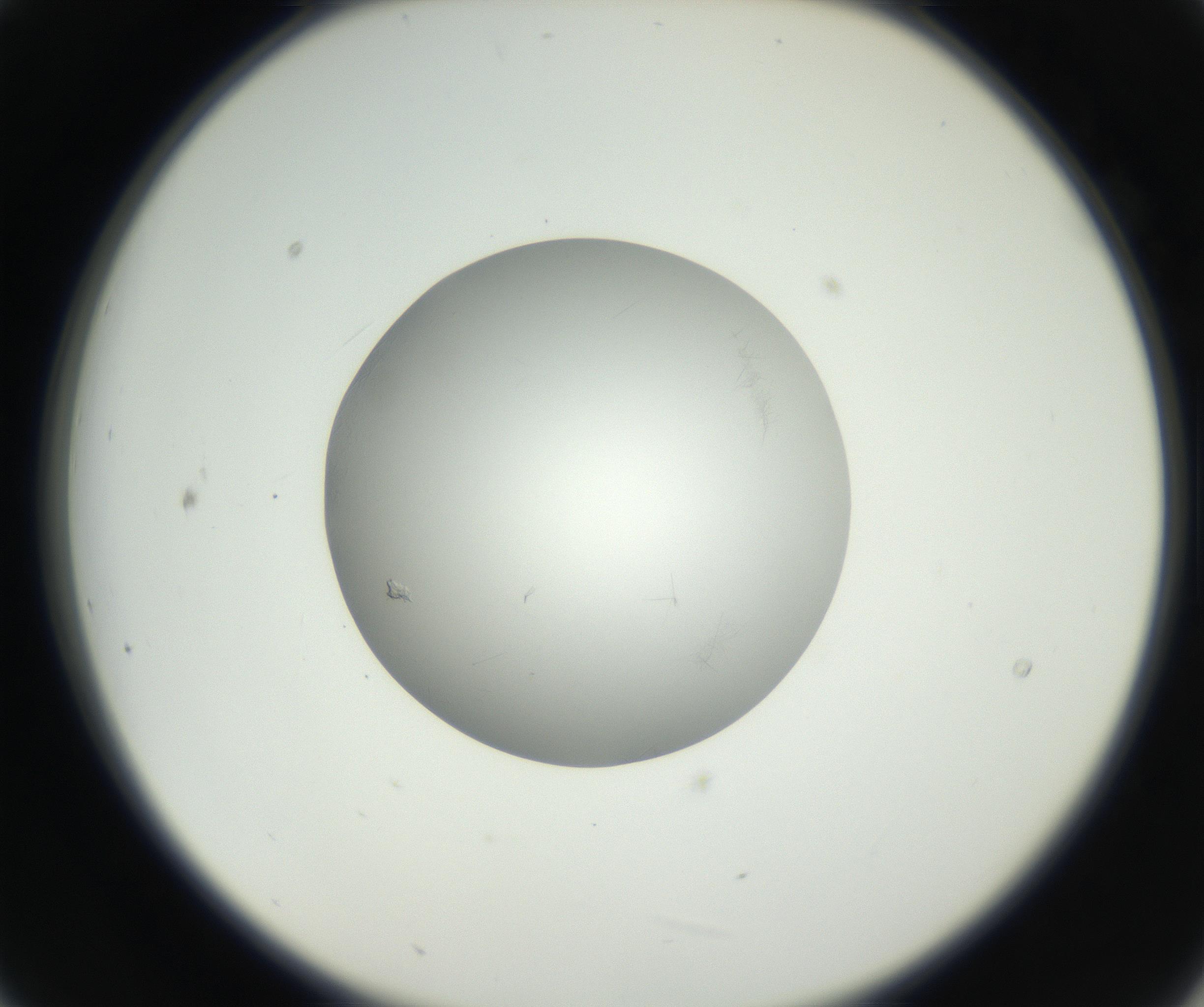 RI01_03_000_0212_Proj1_Clon1_MC_0000MC102639_003_160814_09_02_02_00_99_002_001_RAI.jpg
