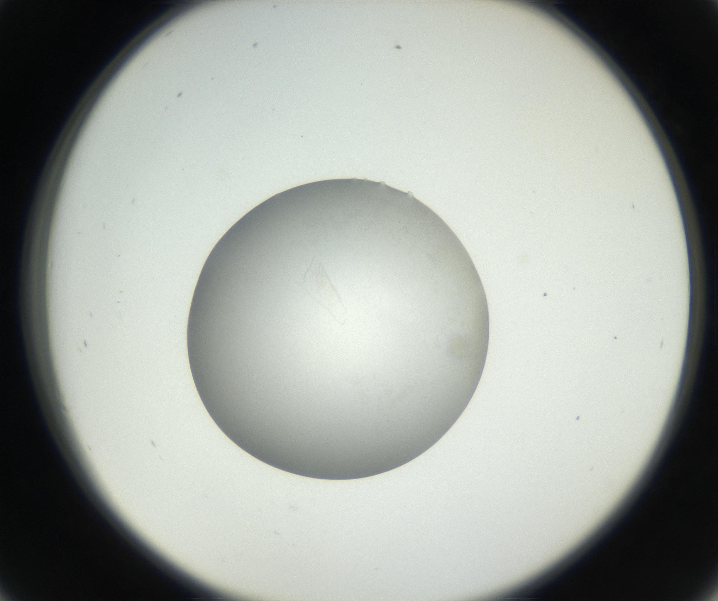 RI01_03_000_0212_Proj1_Clon1_MC_0000MC102639_003_160814_09_04_02_00_99_002_001_RAI.jpg