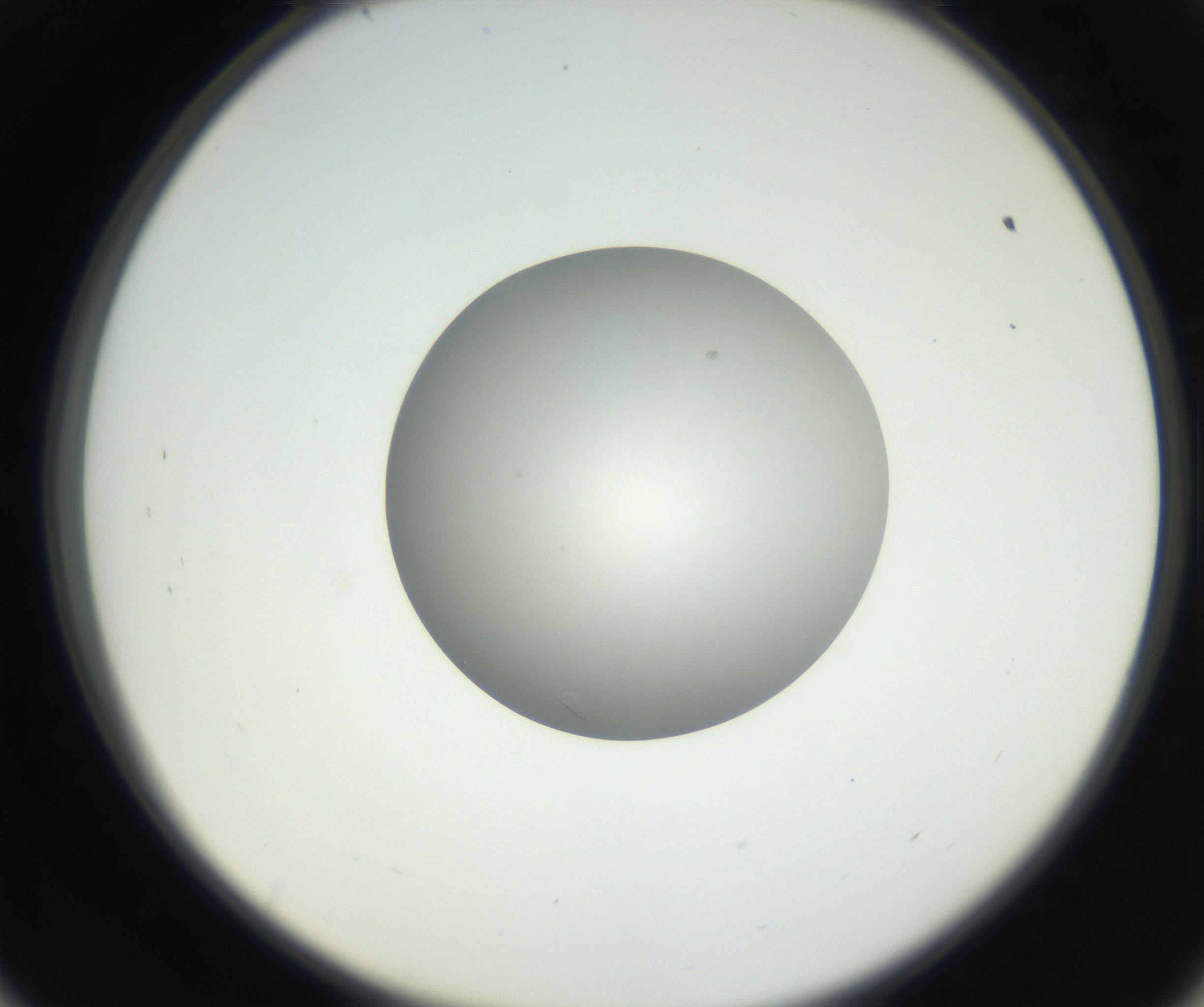 RI01_03_000_0212_Proj1_Clon1_MC_0000MC102639_003_160814_09_05_02_00_99_002_001_RAI.jpg