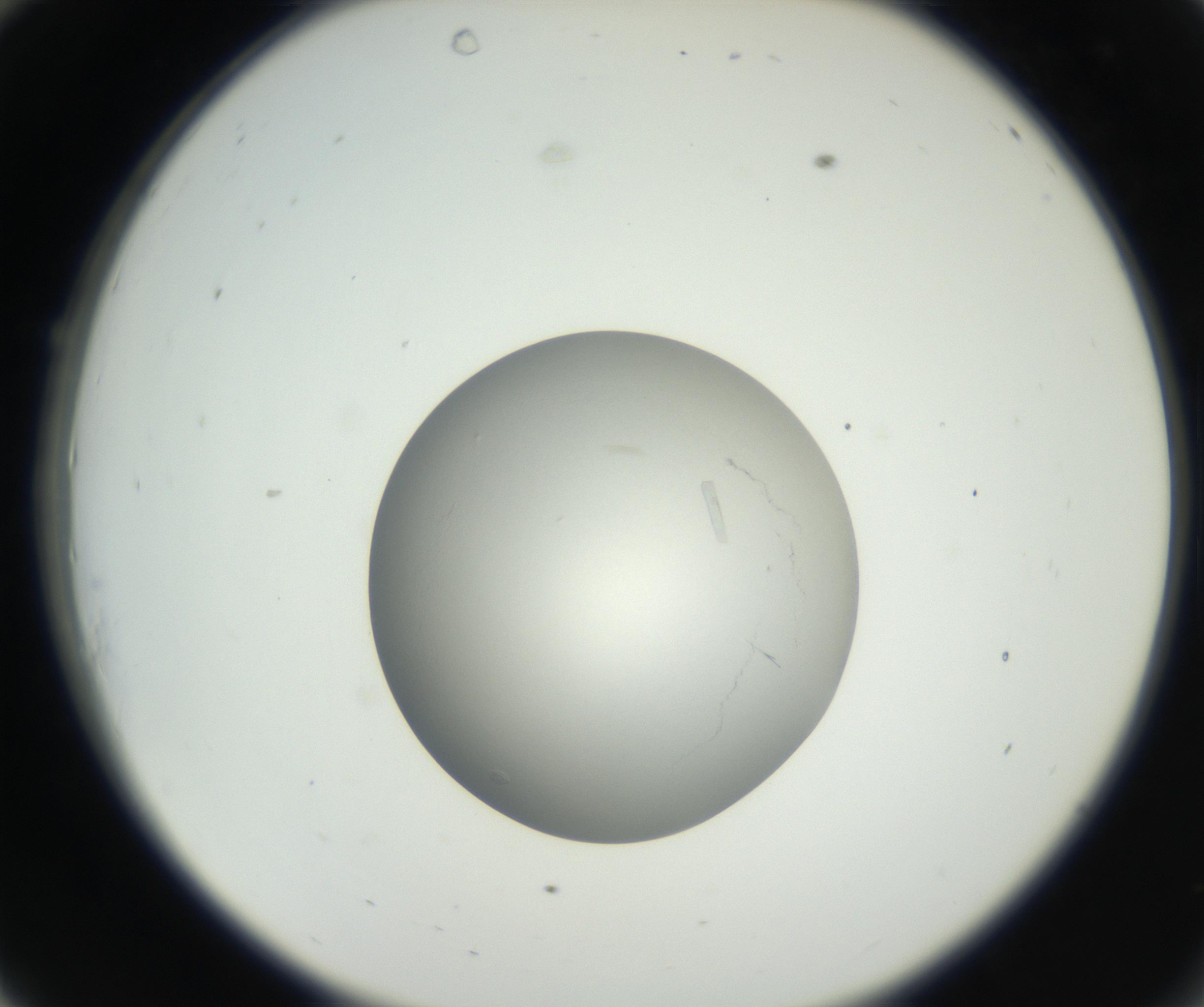 RI01_03_000_0212_Proj1_Clon1_MC_0000MC102639_003_160814_10_03_02_00_99_002_001_RAI.jpg