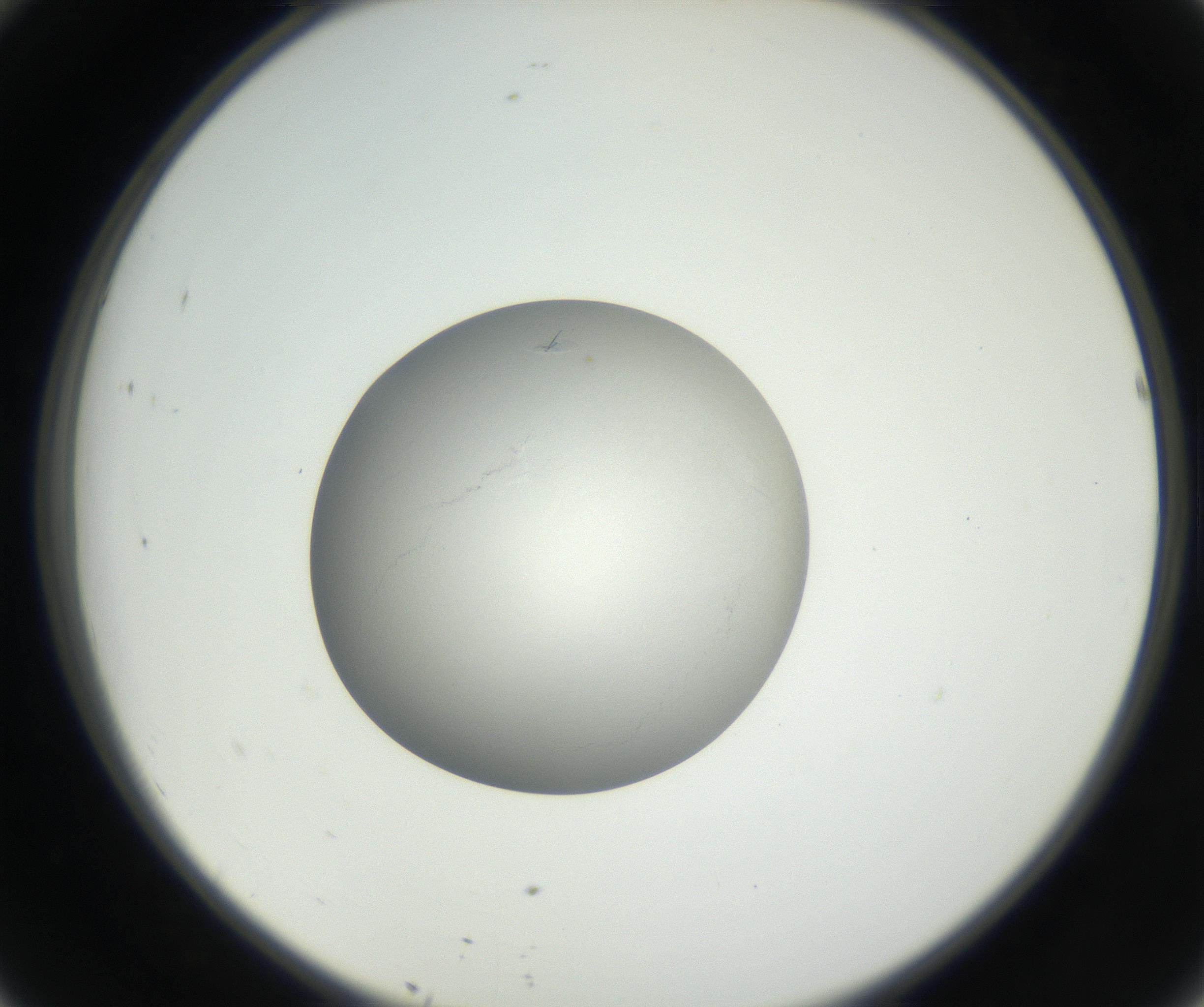 RI01_03_000_0212_Proj1_Clon1_MC_0000MC102639_003_160814_10_04_02_00_99_002_001_RAI.jpg