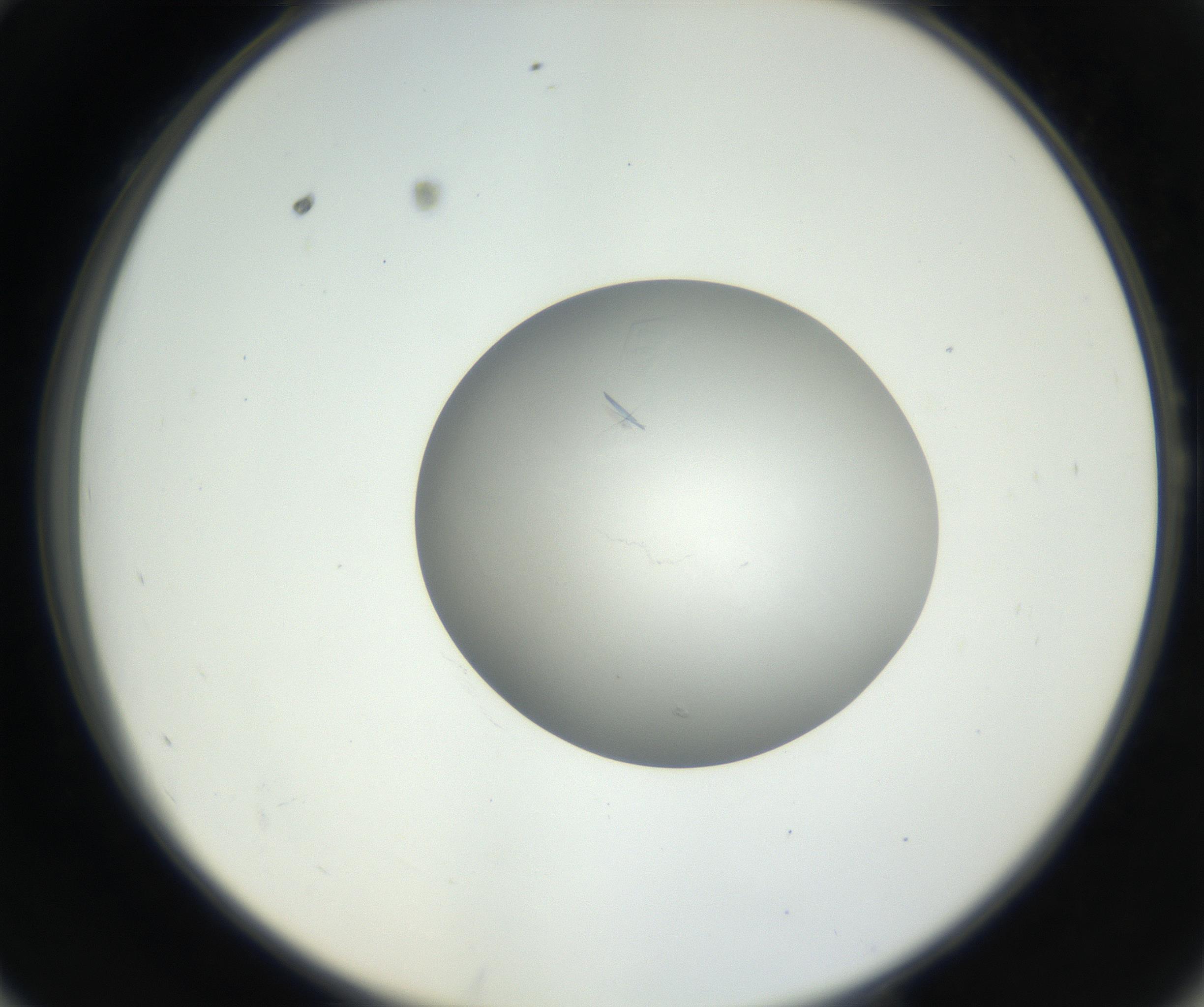 RI01_03_000_0212_Proj1_Clon1_MC_0000MC102639_003_160814_10_05_02_00_99_002_001_RAI.jpg