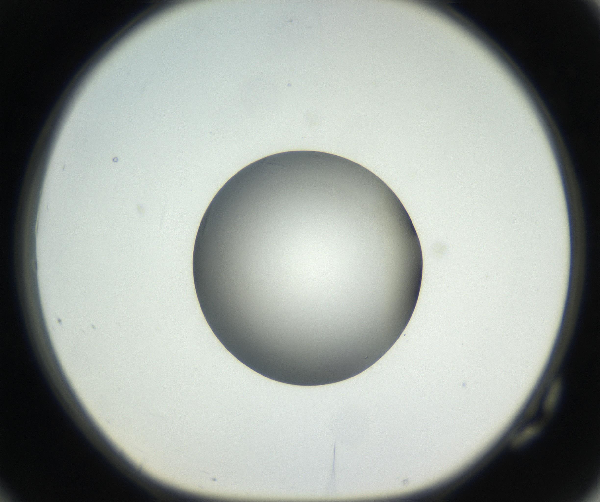 RI01_03_000_0212_Proj1_Clon1_MC_0000MC102639_003_160814_10_07_01_00_99_002_001_RAI.jpg
