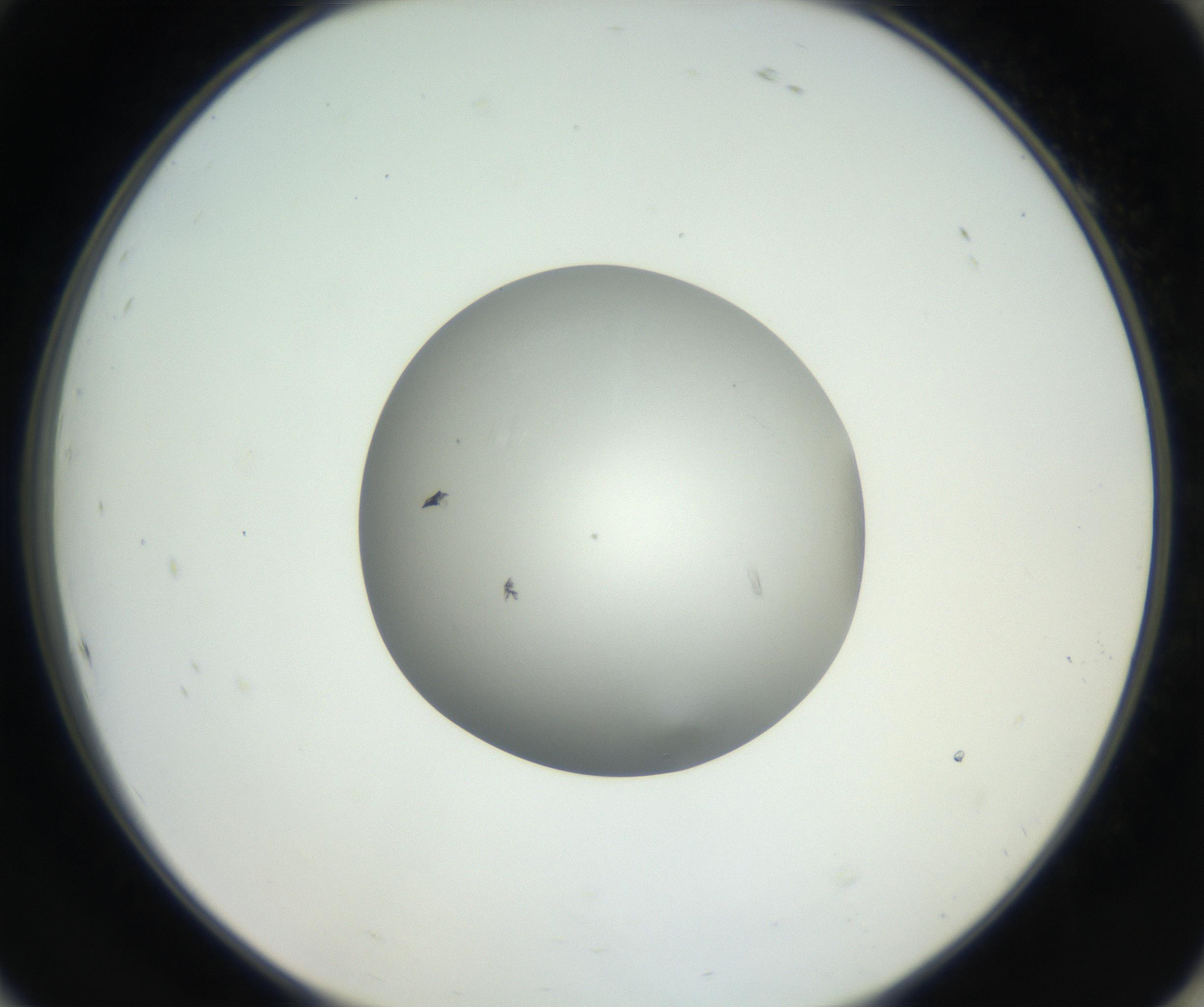 RI01_03_000_0212_Proj1_Clon1_MC_0000MC102639_003_160814_10_08_02_00_99_002_001_RAI.jpg