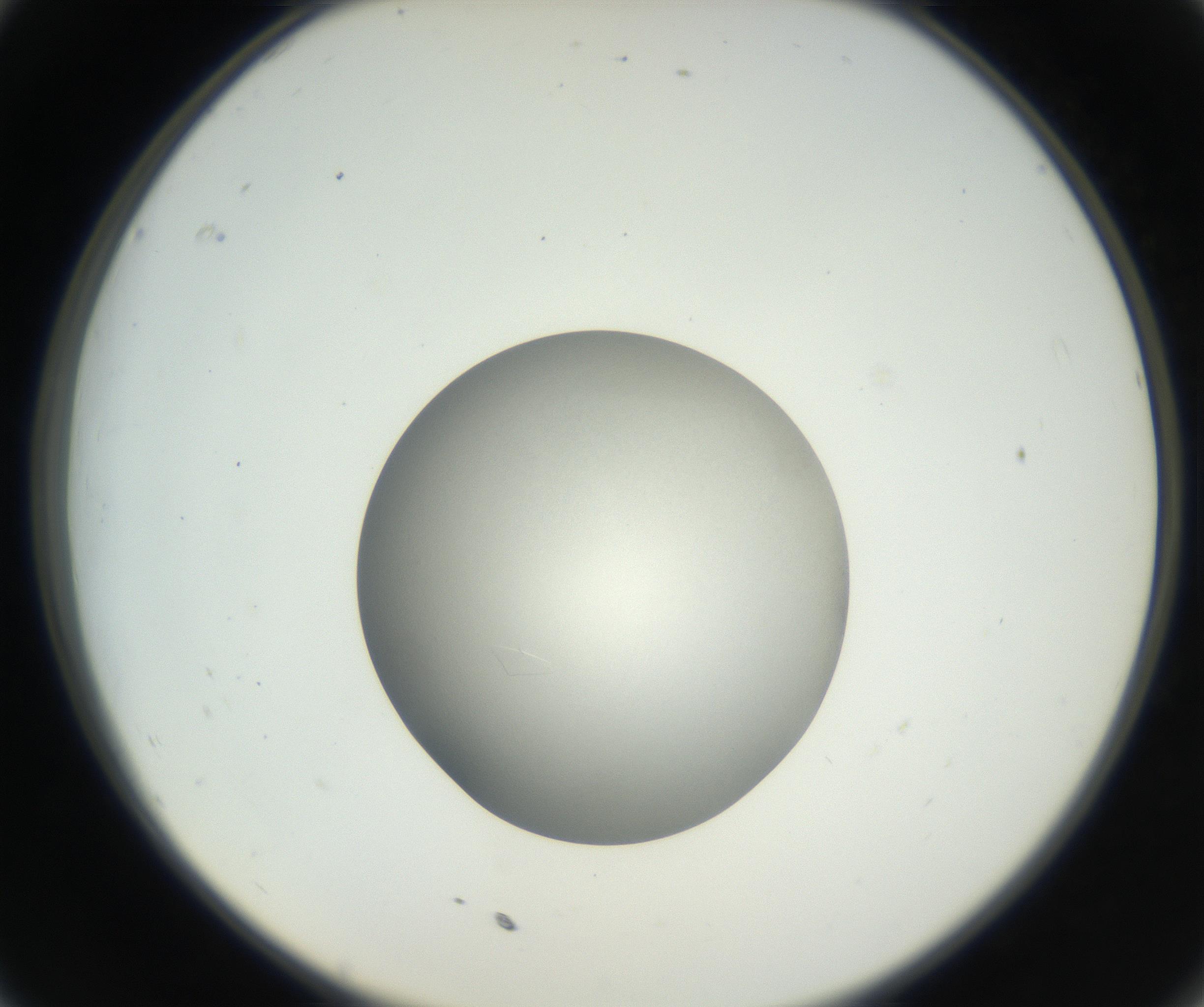 RI01_03_000_0212_Proj1_Clon1_MC_0000MC102639_003_160814_11_03_02_00_99_002_001_RAI.jpg