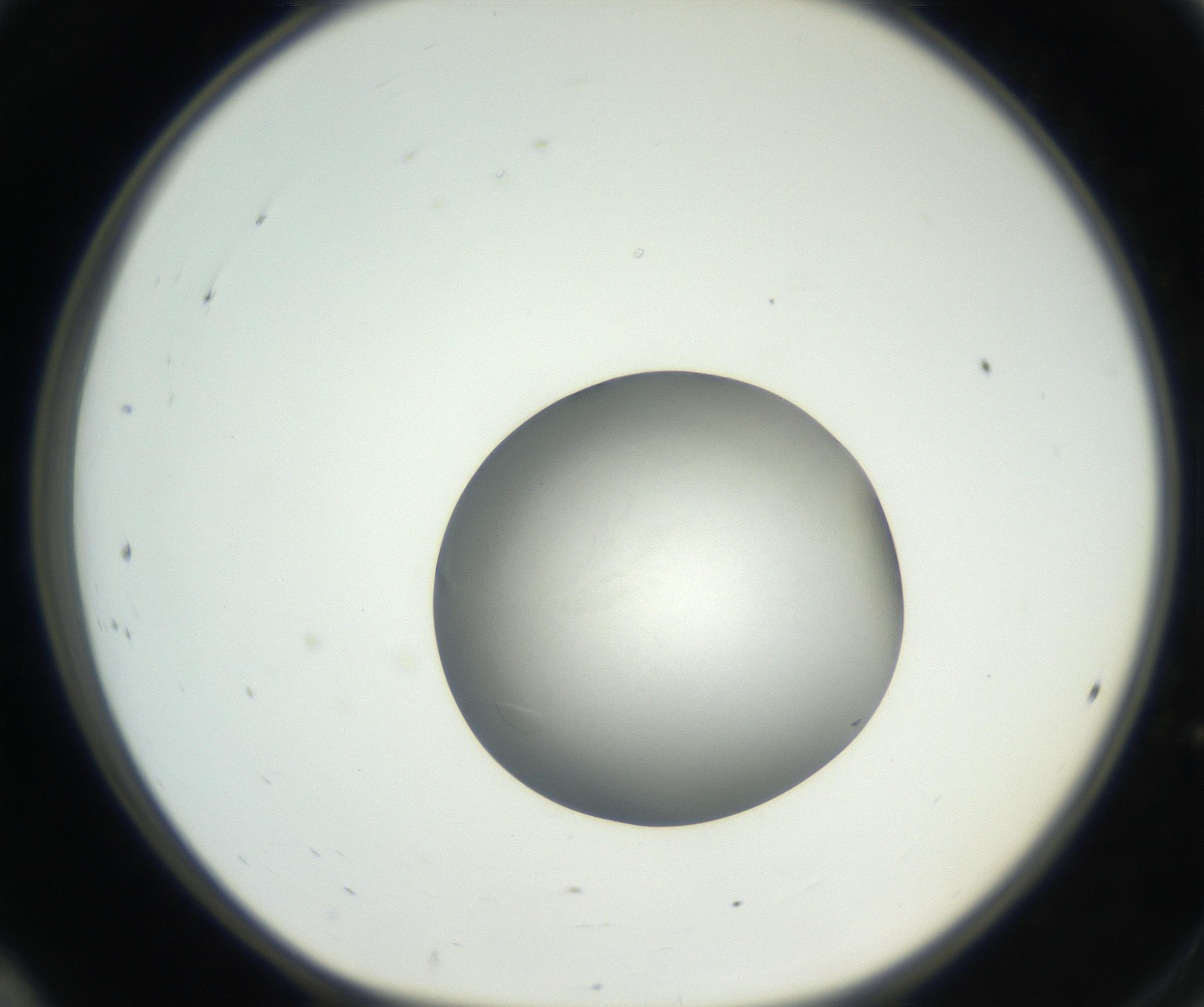 RI01_03_000_0212_Proj1_Clon1_MC_0000MC102639_003_160814_12_02_01_00_99_002_001_RAI.jpg