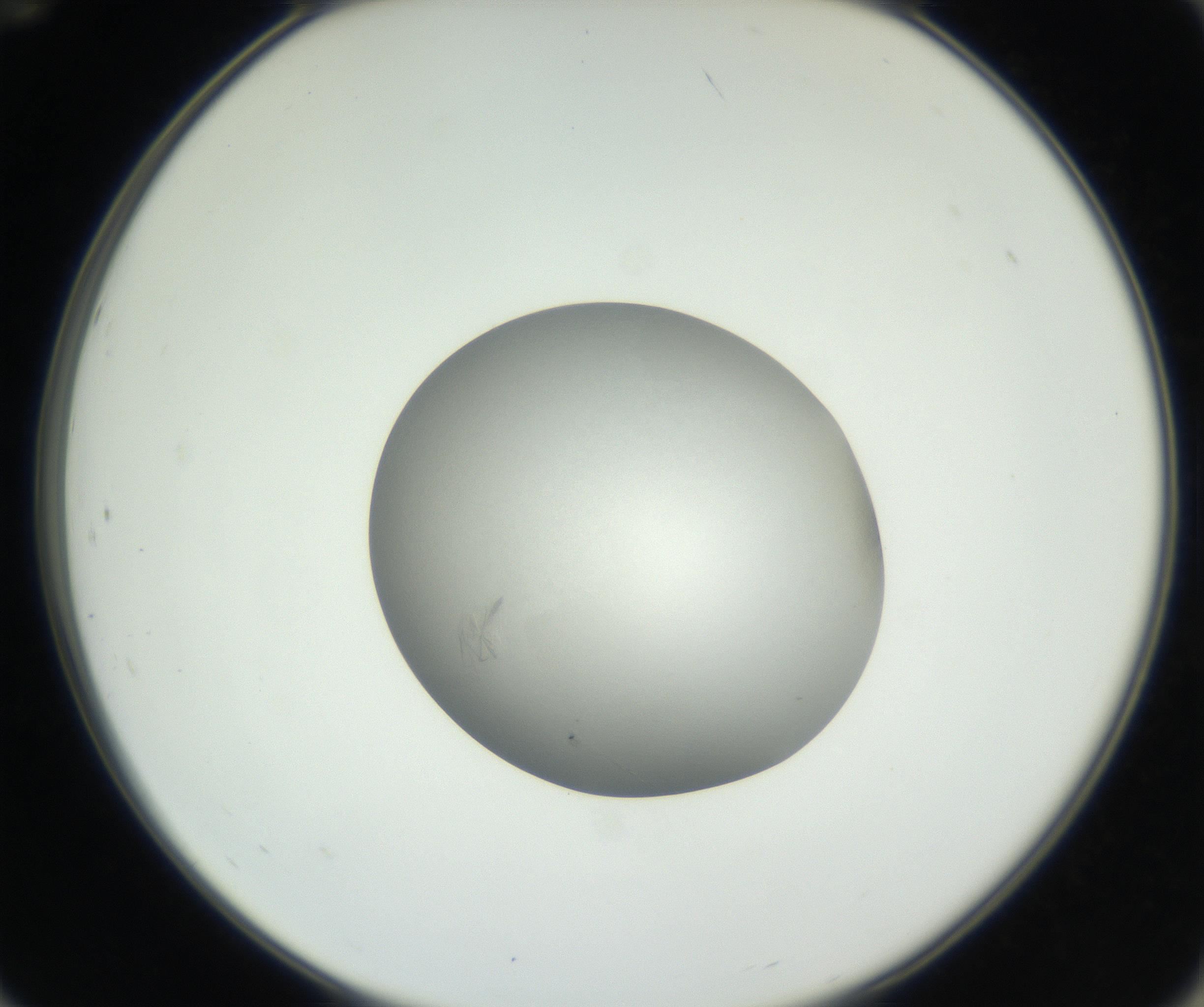 RI01_03_000_0212_Proj1_Clon1_MC_0000MC102639_003_160814_12_07_02_00_99_002_001_RAI.jpg