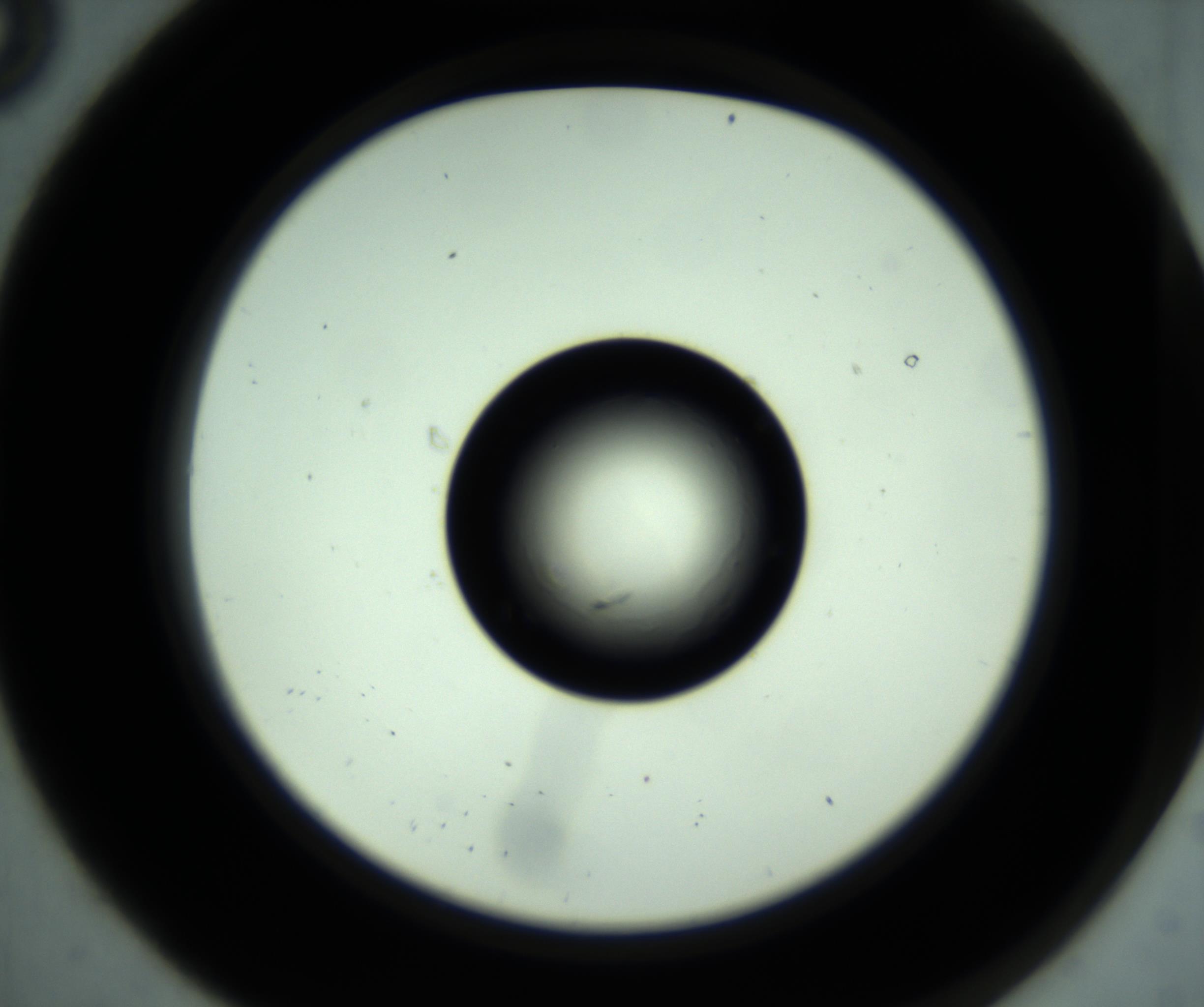RI01_03_000_0212_Proj1_Clon1_MC_0000MC102639_009_161021_08_01_02_00_98_002_001_RAI.jpg