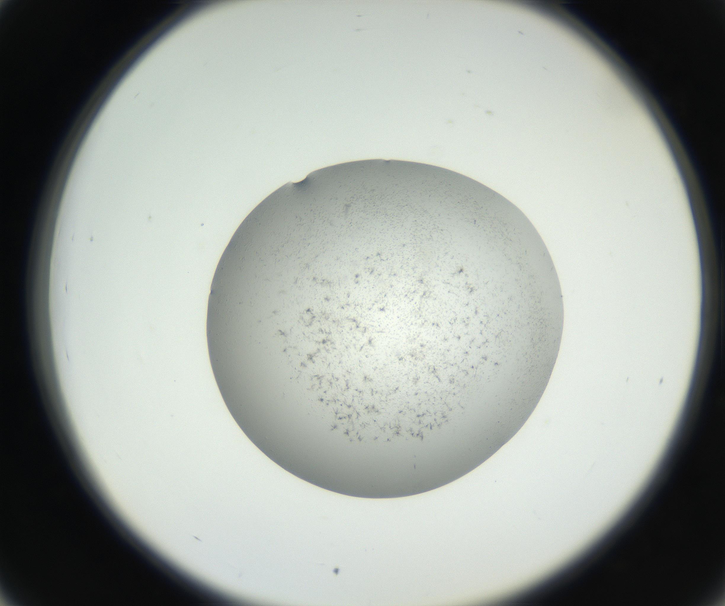 RI01_03_000_0212_Proj1_Clon1_MC_0000MC102640_002_160812_03_04_02_00_99_002_001_RAI.jpg