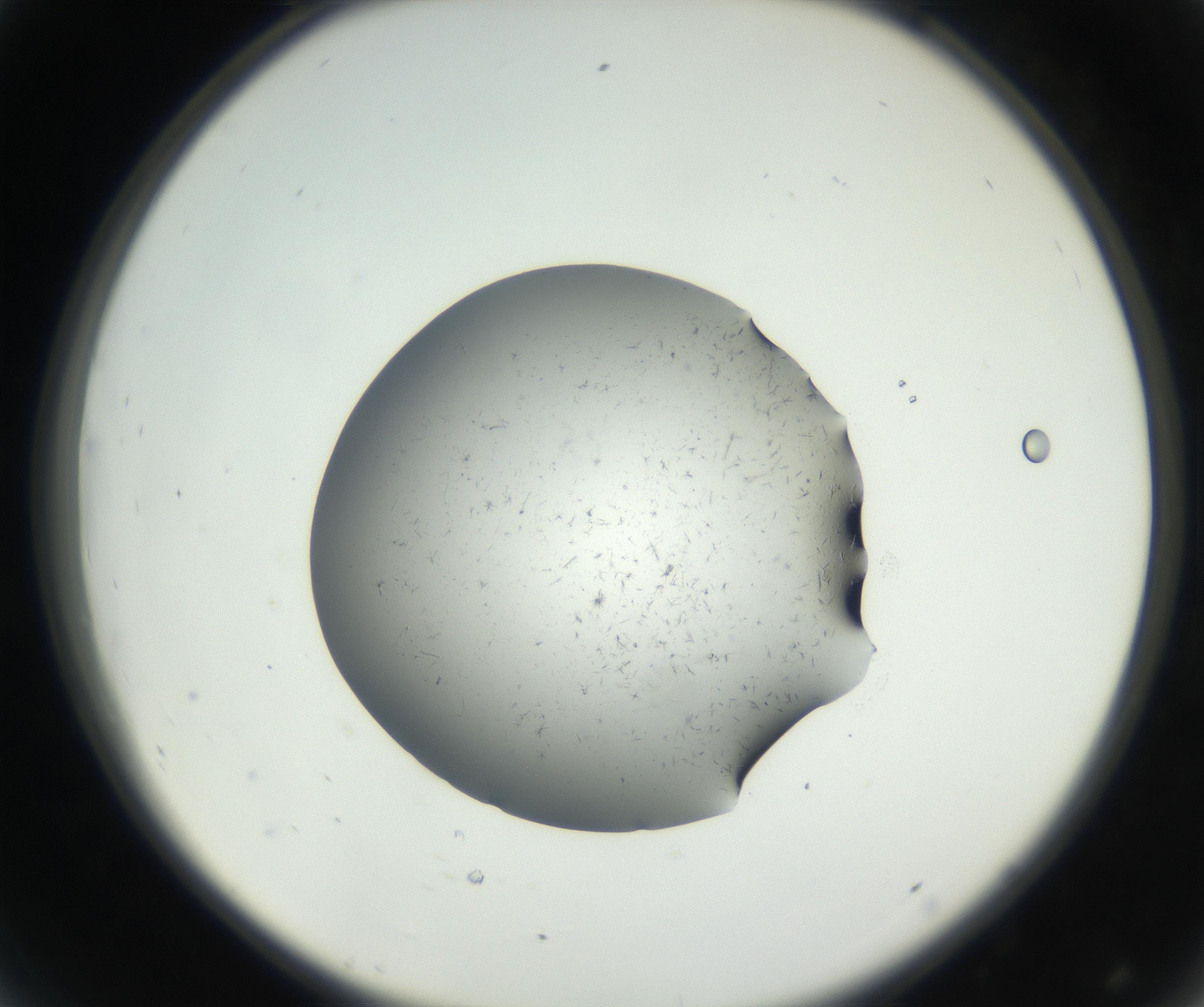 RI01_03_000_0212_Proj1_Clon1_MC_0000MC102641_002_160812_08_04_02_00_99_002_001_RAI.jpg