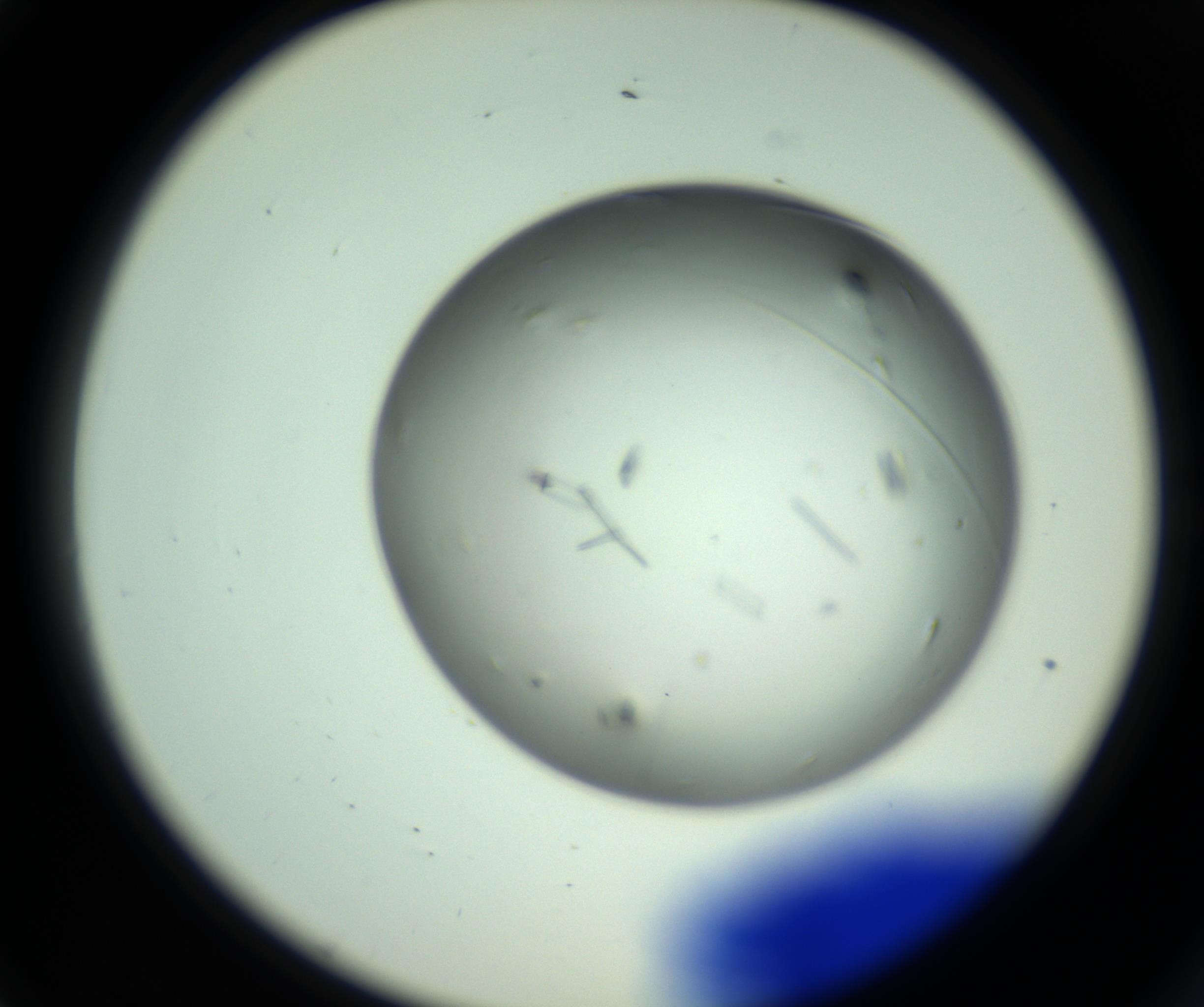 RI01_03_000_0212_Proj1_Clon1_MC_0000MC102643_012_161014_01_01_02_00_98_002_001_RAI.jpg