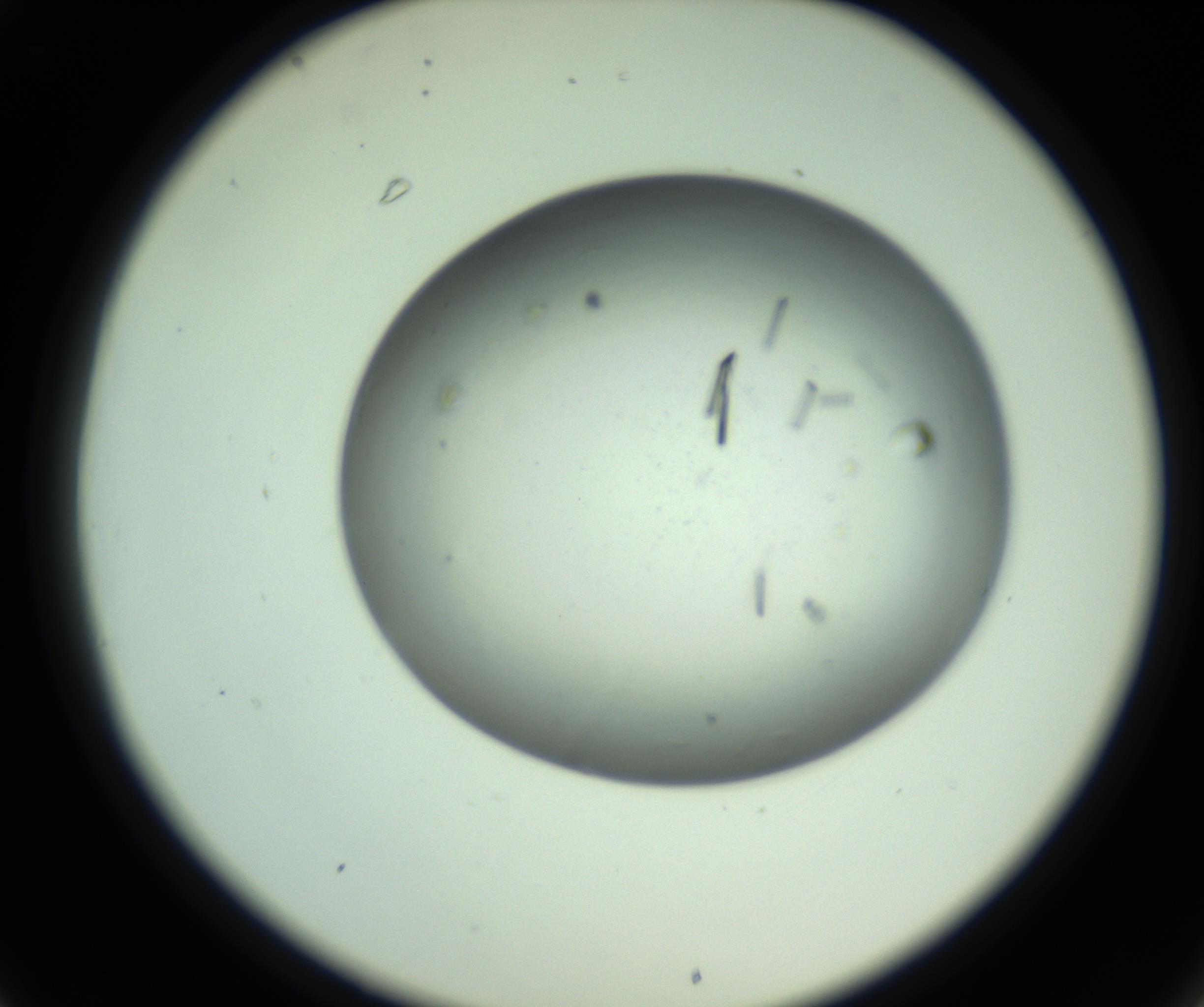 RI01_03_000_0212_Proj1_Clon1_MC_0000MC102643_012_161014_01_03_02_00_98_002_001_RAI.jpg
