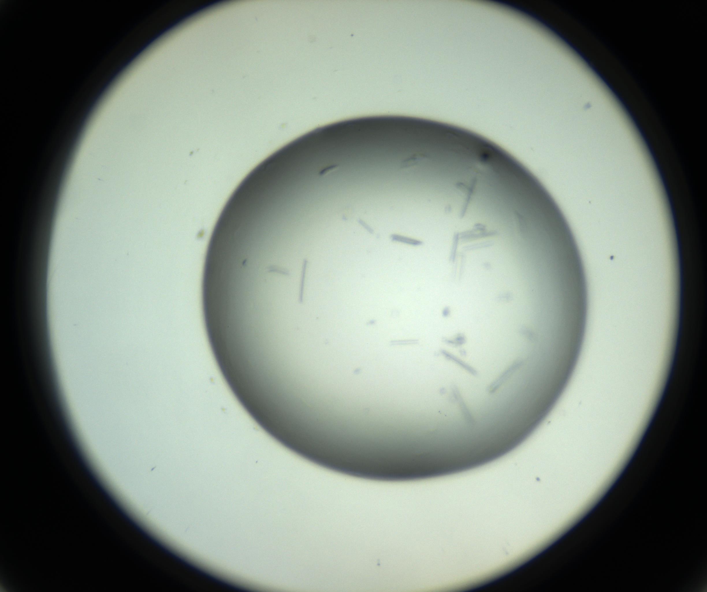 RI01_03_000_0212_Proj1_Clon1_MC_0000MC102643_012_161014_01_04_02_00_98_002_001_RAI.jpg