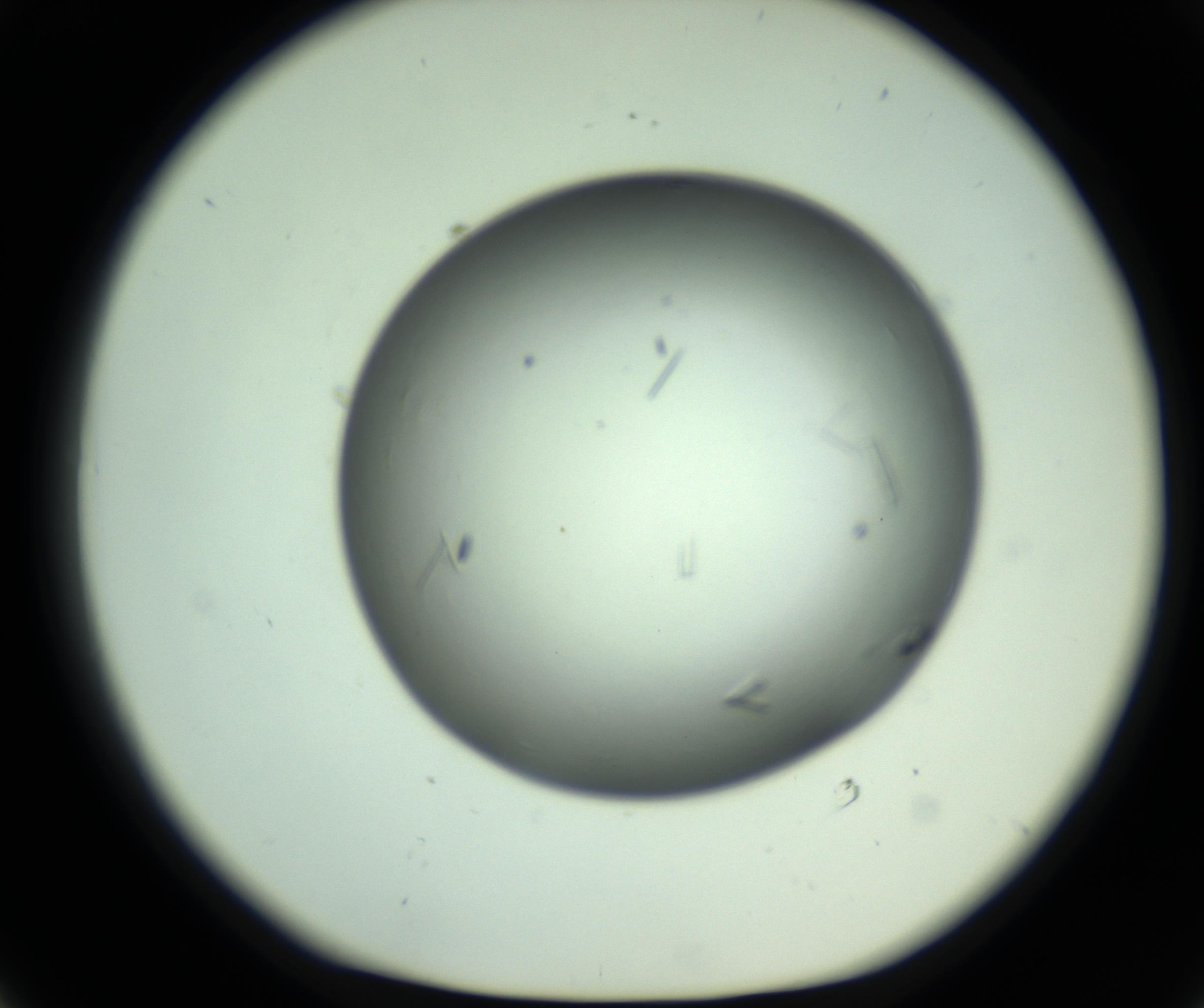 RI01_03_000_0212_Proj1_Clon1_MC_0000MC102643_012_161014_01_05_01_00_98_002_001_RAI.jpg