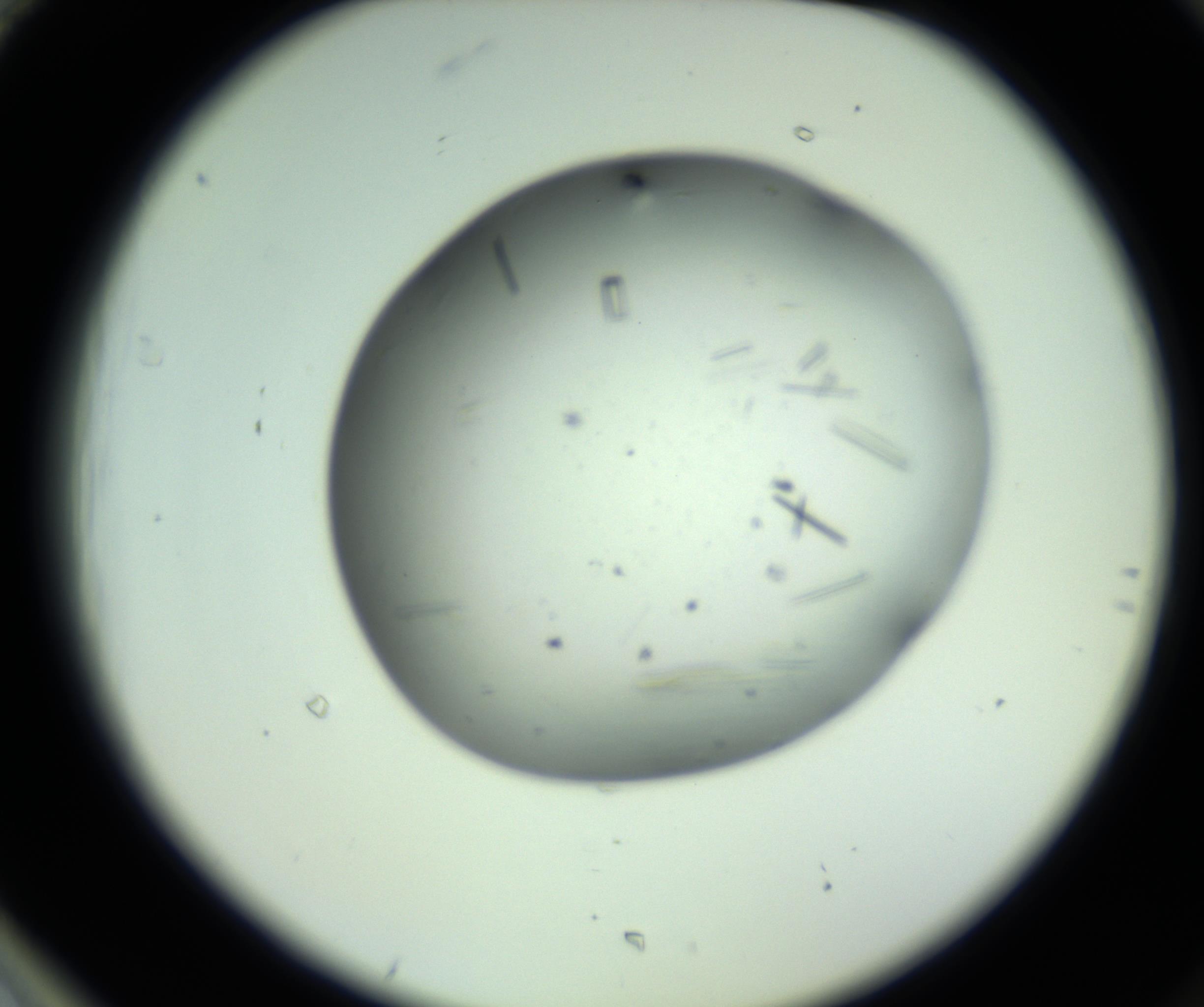 RI01_03_000_0212_Proj1_Clon1_MC_0000MC102643_012_161014_01_08_02_00_98_002_001_RAI.jpg