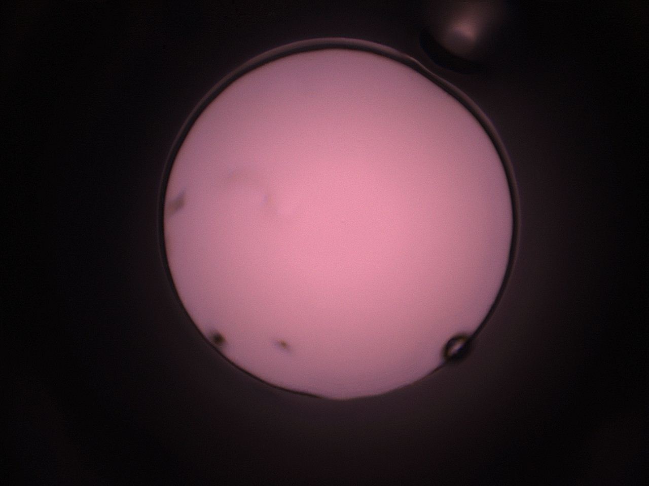 05i2_L16_ImagerDefaults_1.jpg