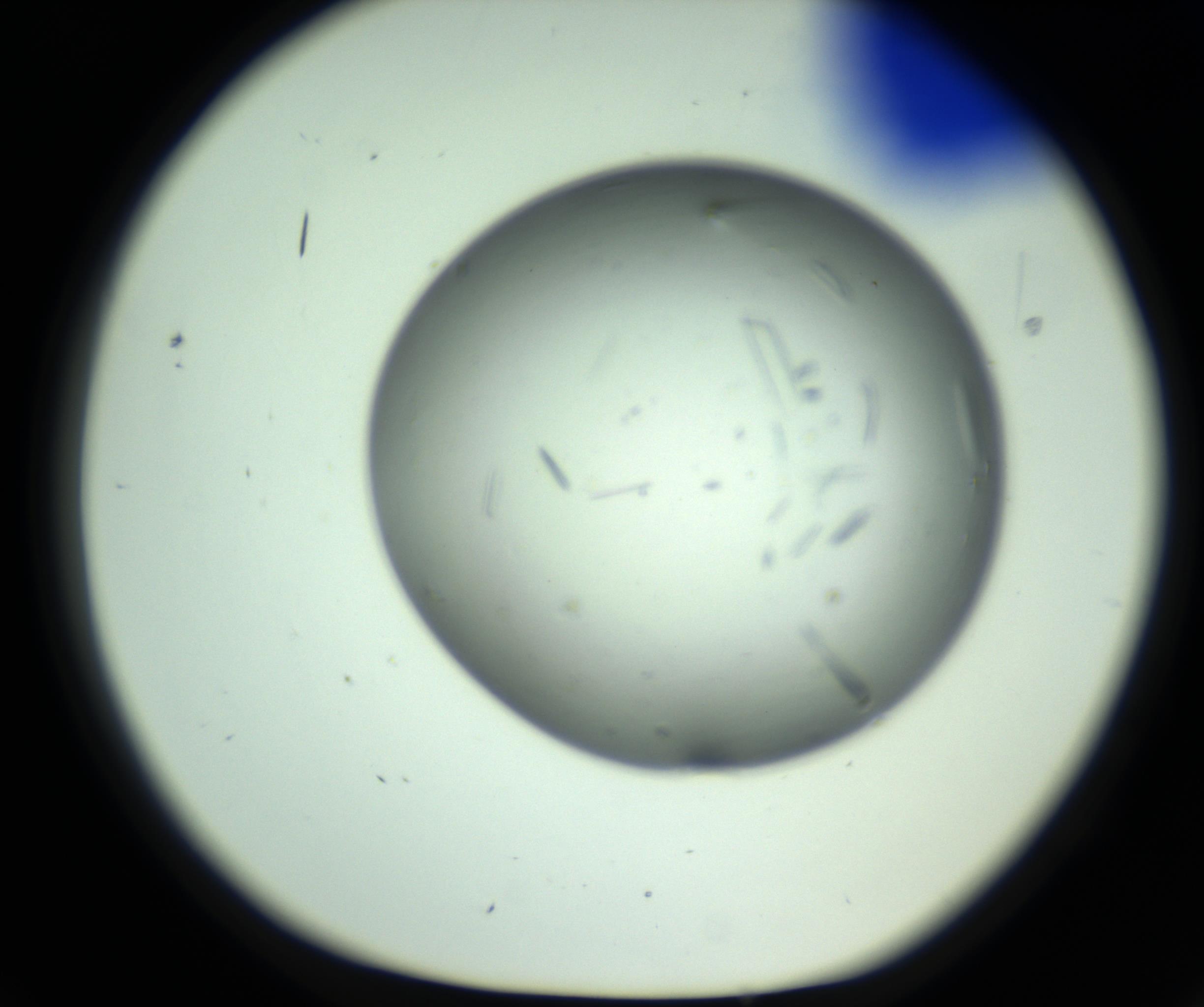 RI01_03_000_0212_Proj1_Clon1_MC_0000MC102643_012_161014_02_02_01_00_98_002_001_RAI.jpg