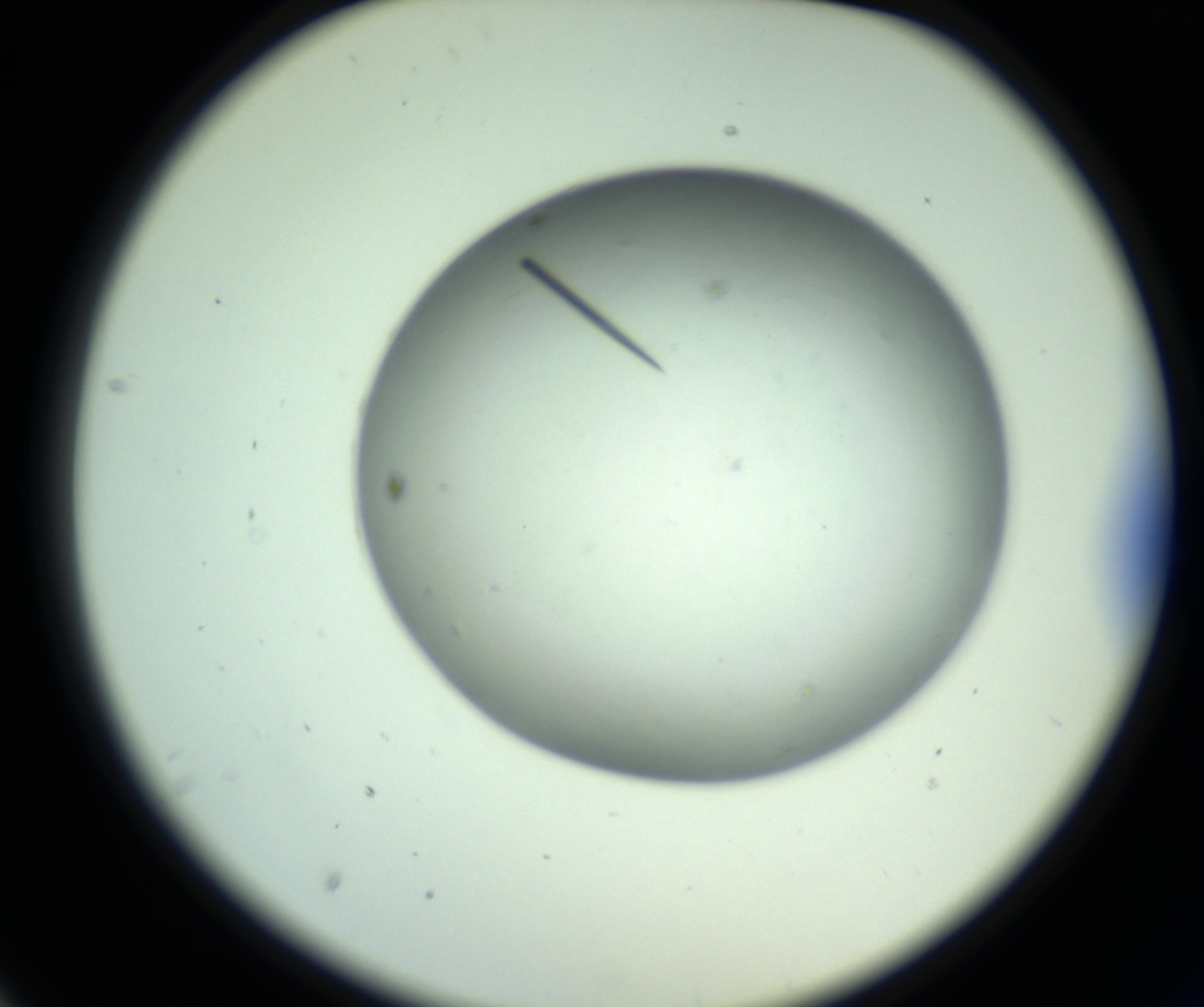 RI01_03_000_0212_Proj1_Clon1_MC_0000MC102643_012_161014_02_02_02_00_98_002_001_RAI.jpg