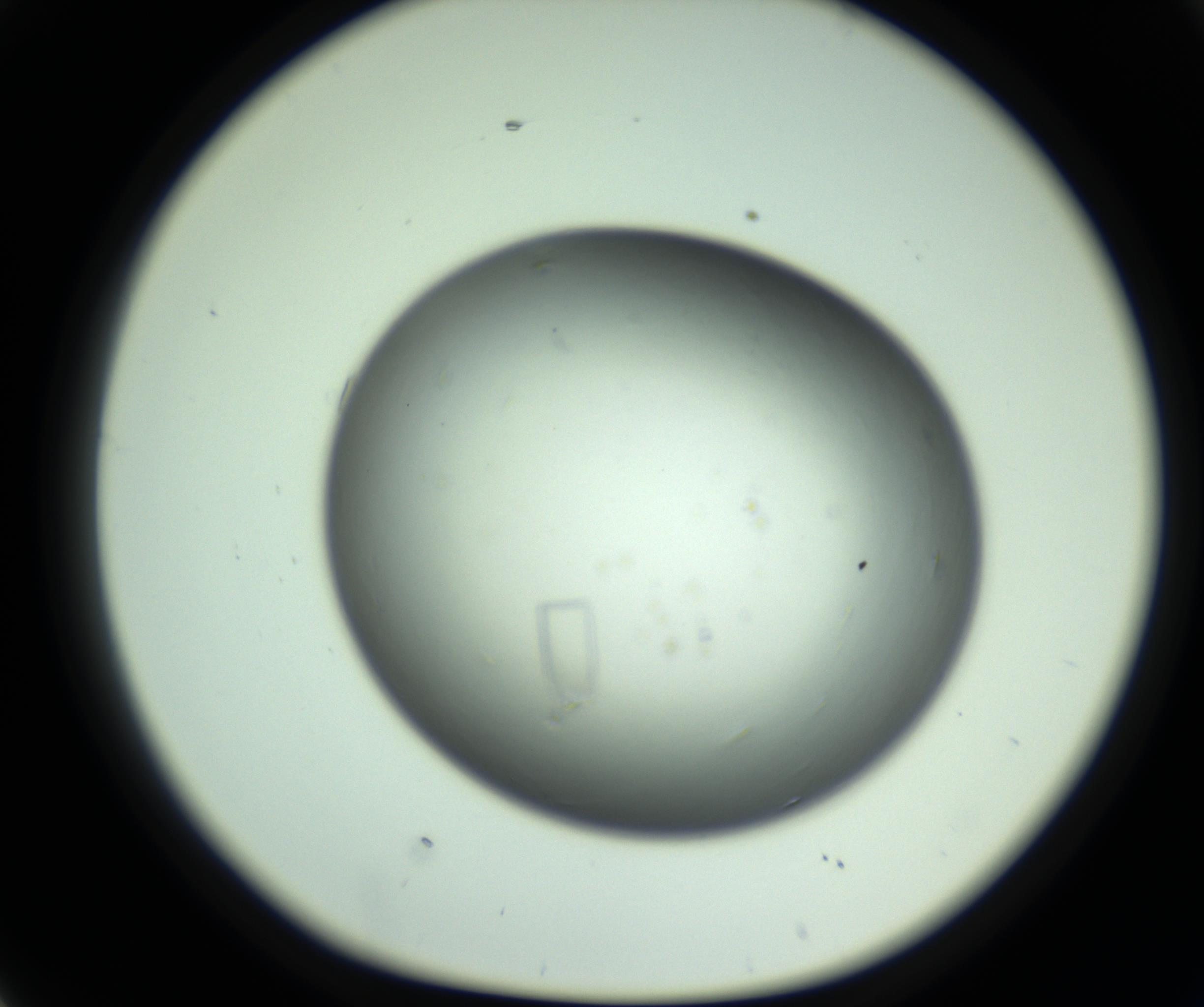 RI01_03_000_0212_Proj1_Clon1_MC_0000MC102643_012_161014_02_04_01_00_98_002_001_RAI.jpg