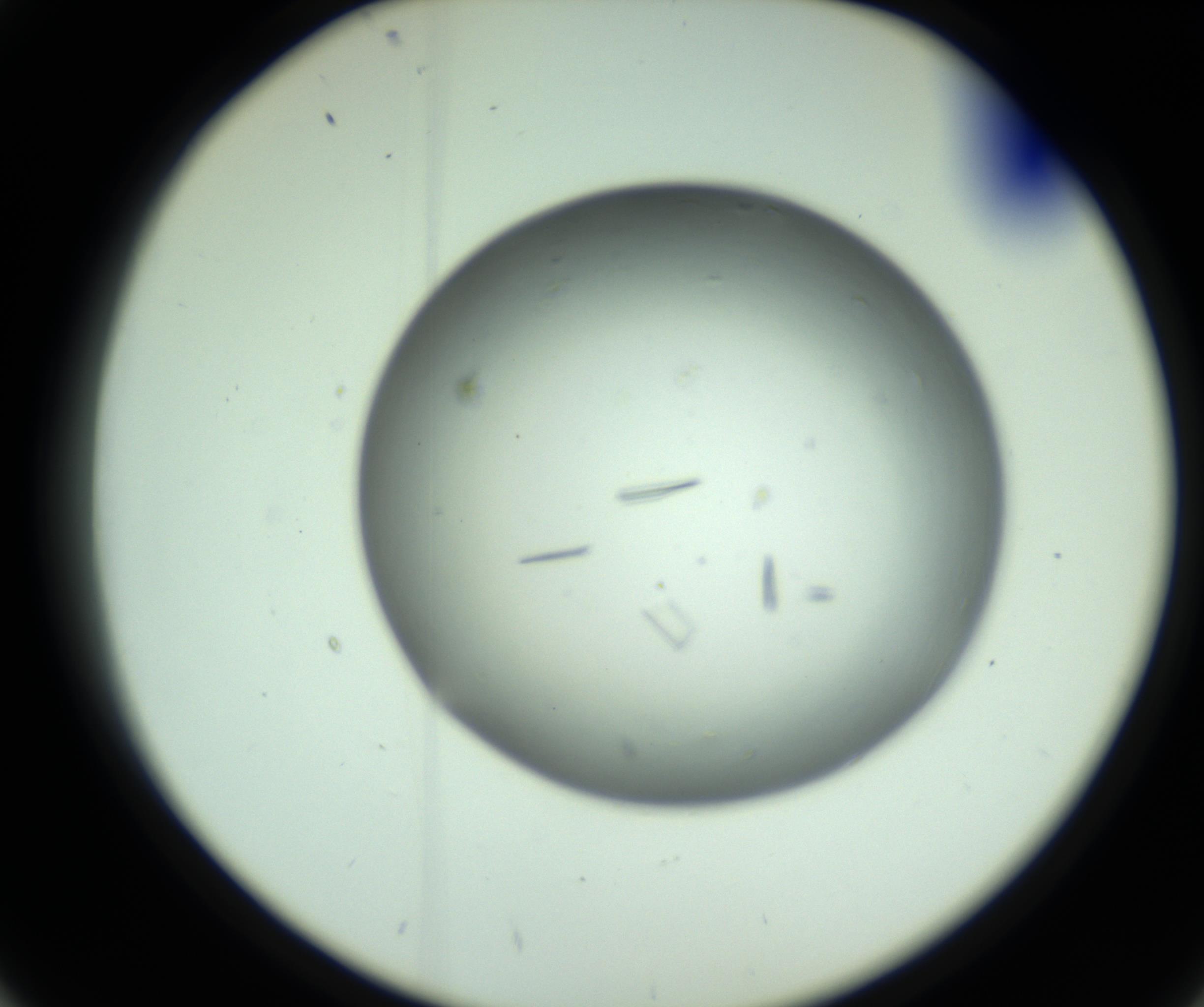 RI01_03_000_0212_Proj1_Clon1_MC_0000MC102643_012_161014_02_04_02_00_98_002_001_RAI.jpg