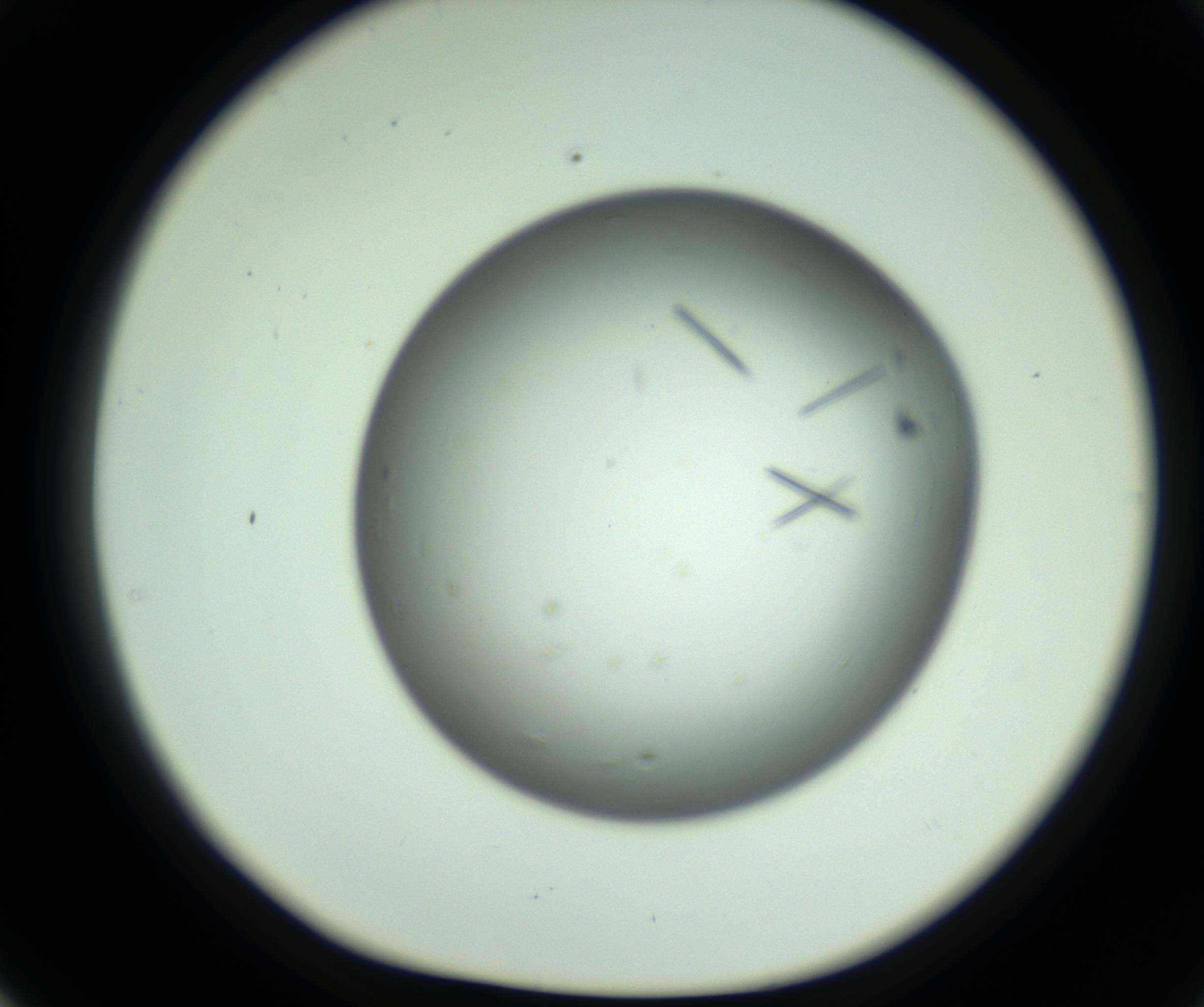 RI01_03_000_0212_Proj1_Clon1_MC_0000MC102643_012_161014_02_05_01_00_98_002_001_RAI.jpg