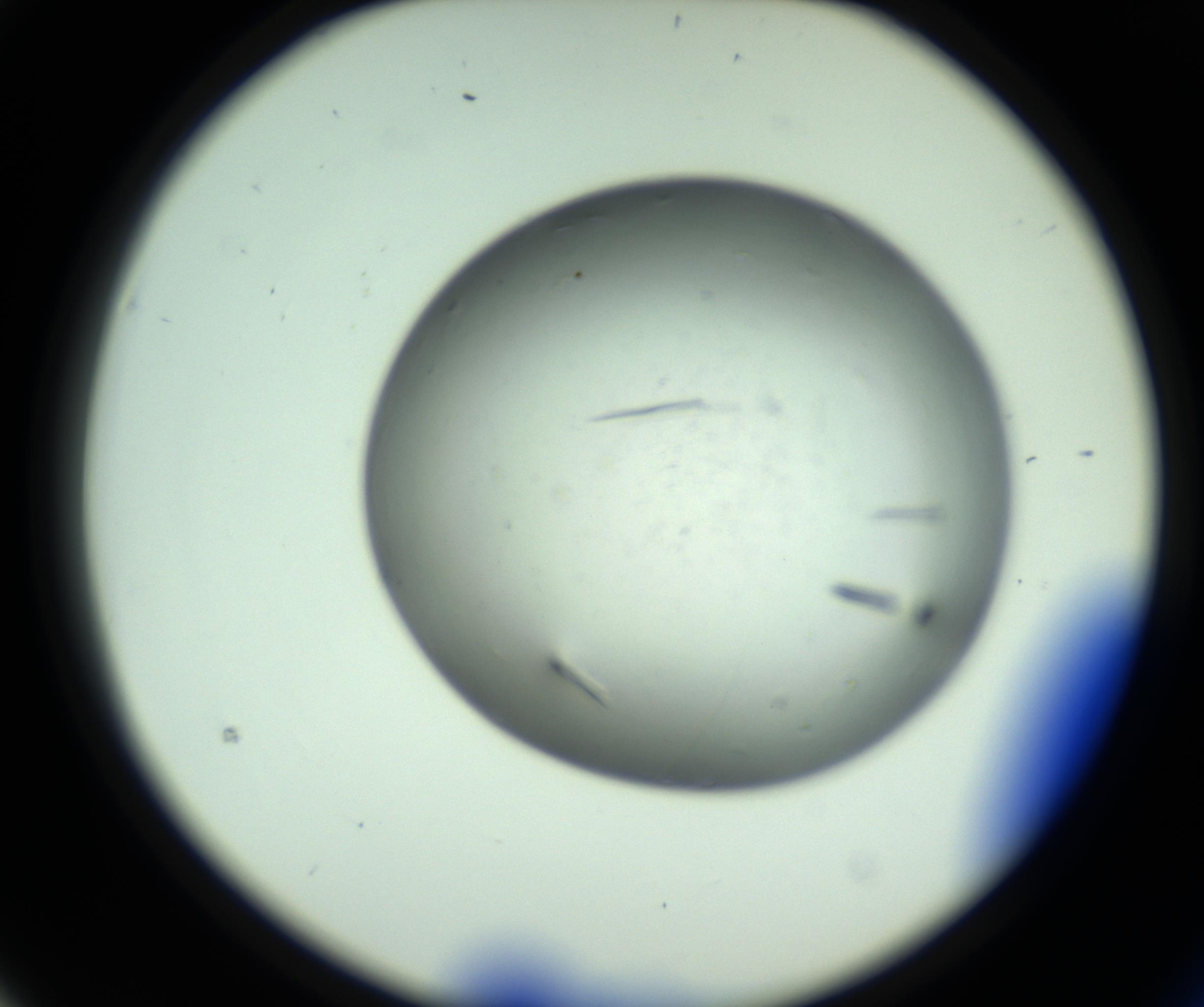 RI01_03_000_0212_Proj1_Clon1_MC_0000MC102643_012_161014_03_02_02_00_98_002_001_RAI.jpg