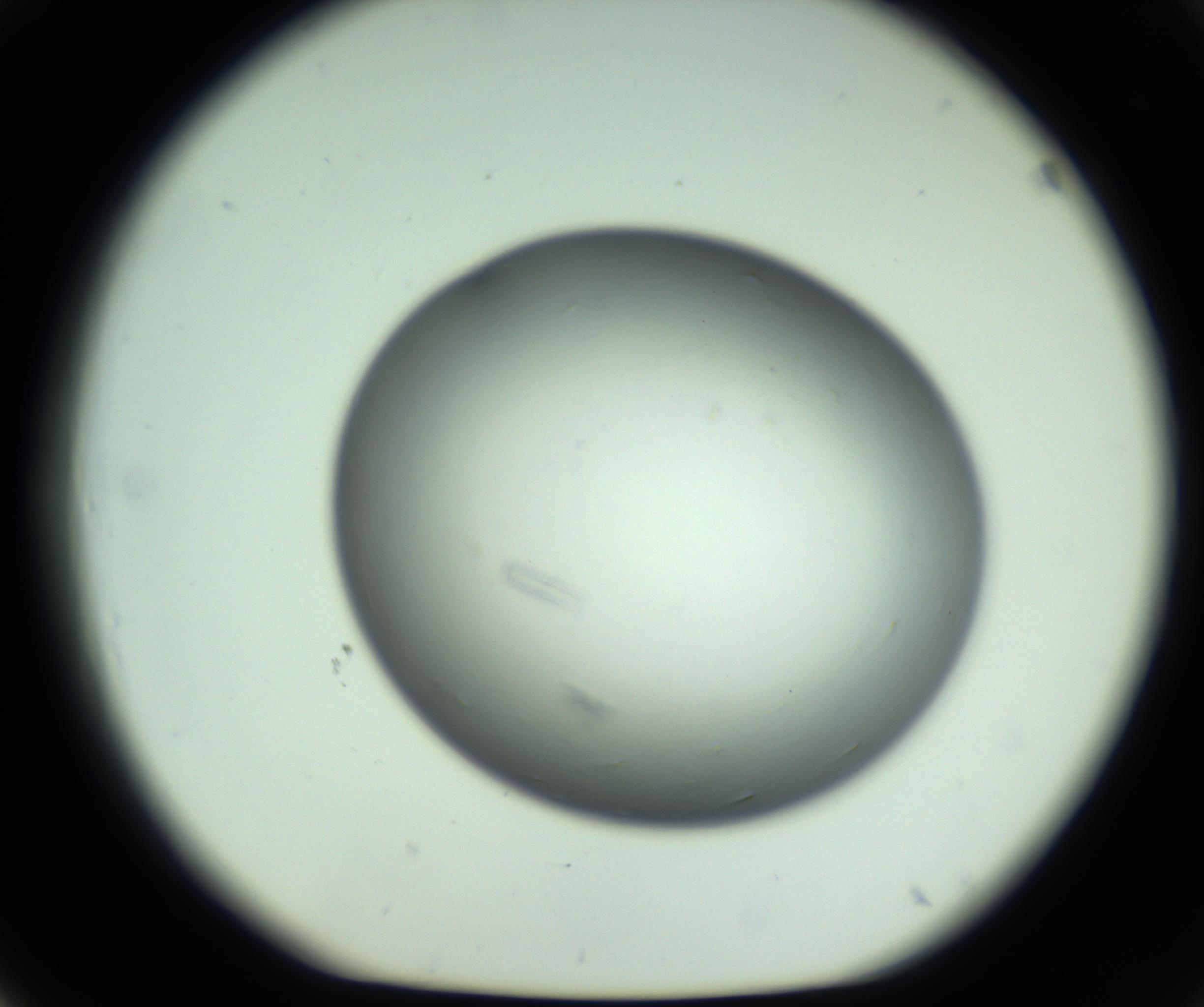RI01_03_000_0212_Proj1_Clon1_MC_0000MC102643_012_161014_03_04_01_00_98_002_001_RAI.jpg